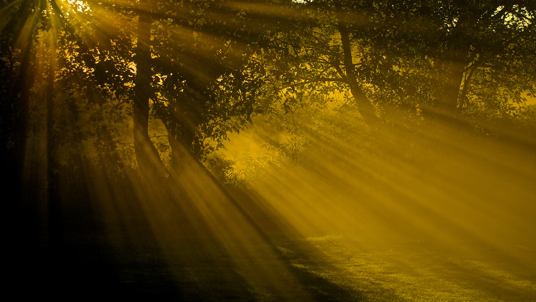 Pentax smc DA 16-45mm F4 ED AL sample photo. Long rays of morning photography