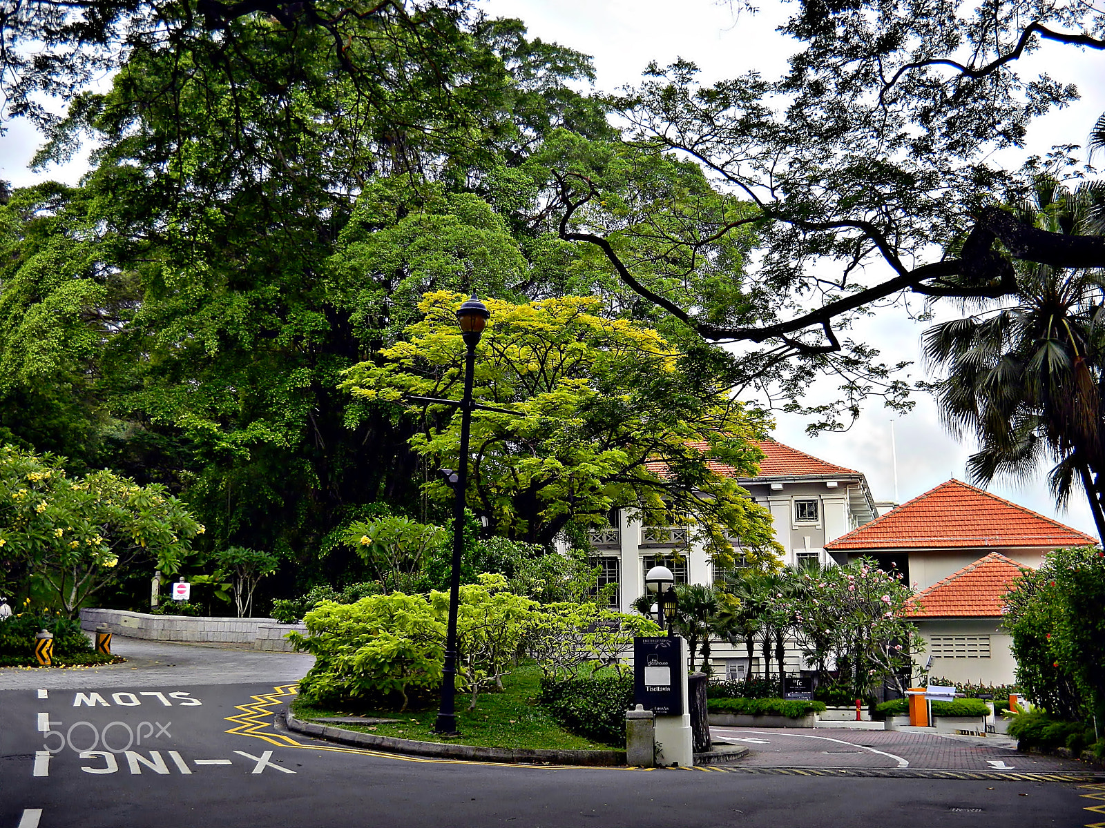 Nikon Coolpix S1200pj sample photo. Fort canning park photography