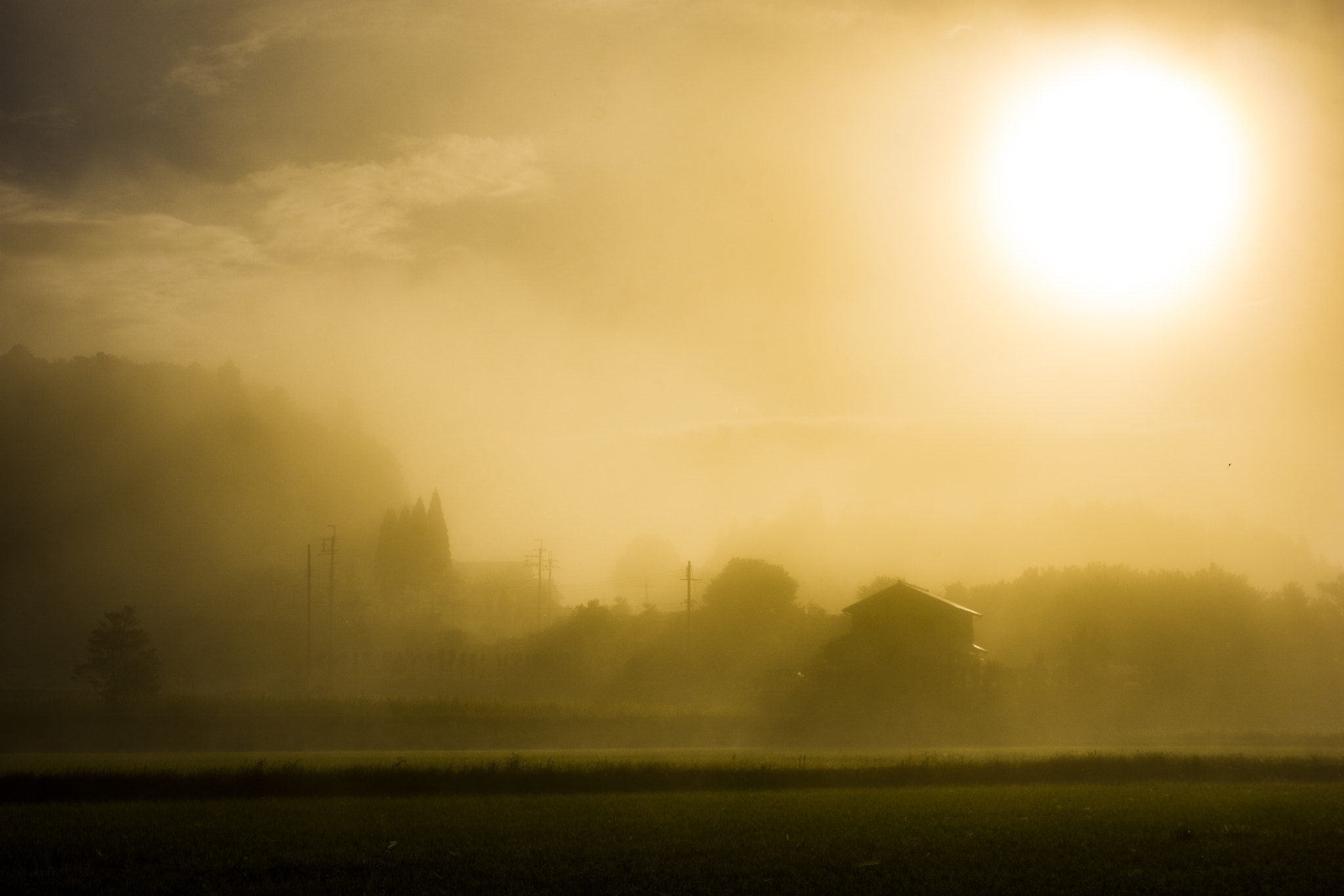 AF Zoom-Nikkor 28-105mm f/3.5-4.5D IF sample photo. Landscape in the mist photography