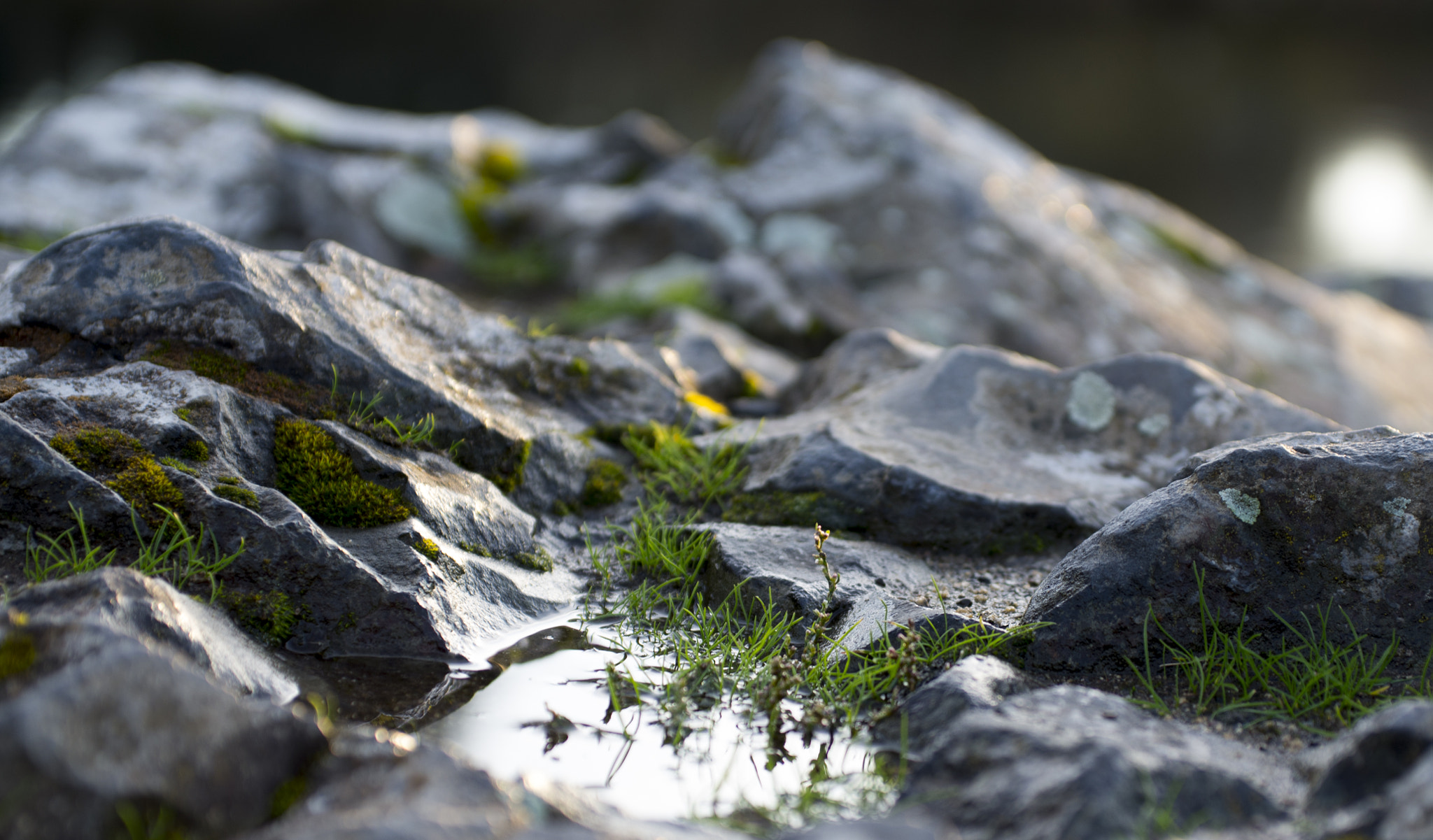 Pentax K-50 + Pentax smc DA* 50-135mm F2.8 ED (IF) SDM sample photo. Reflections photography