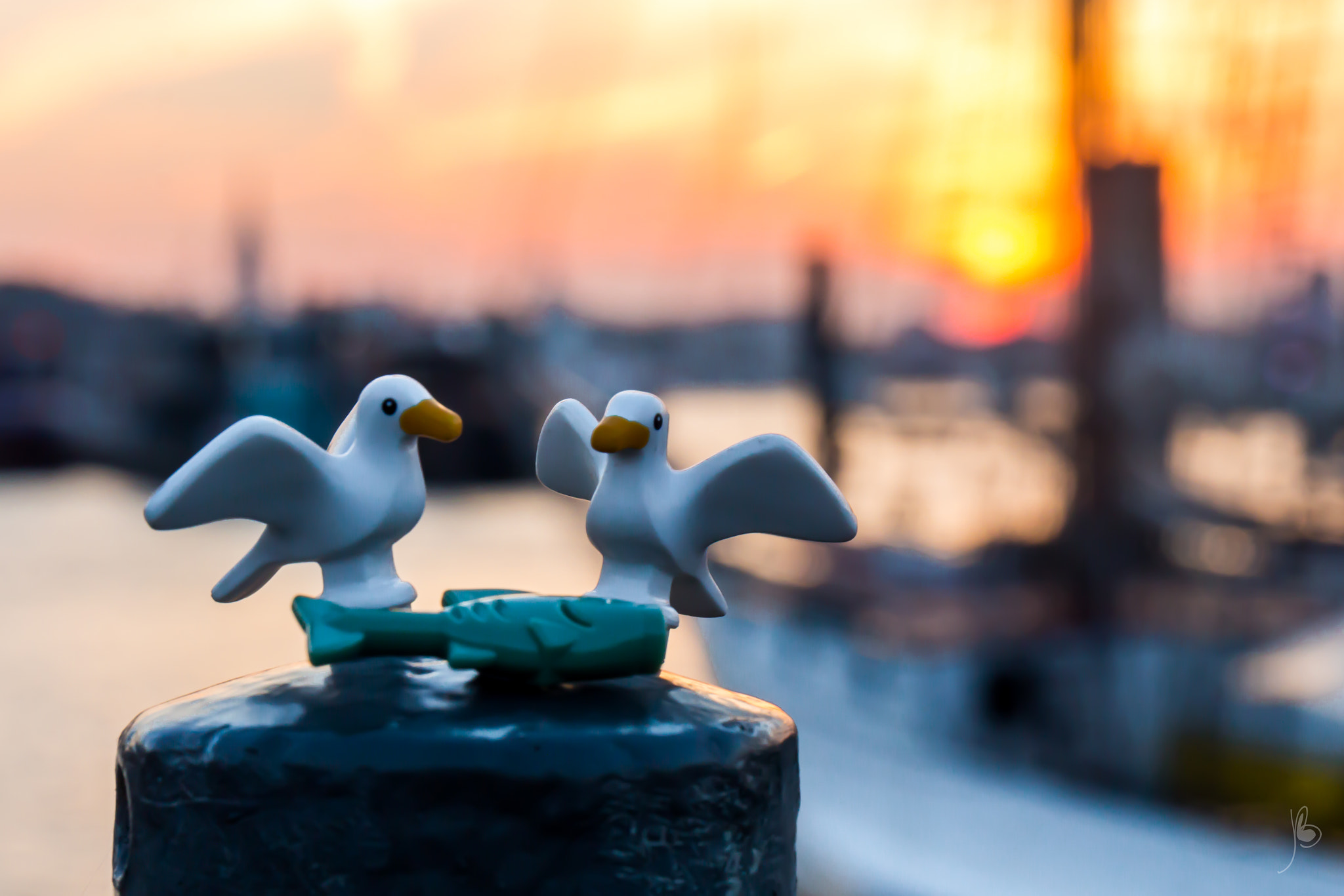 Canon EF 24-70mm F4L IS USM sample photo. The seagulls and the fish photography