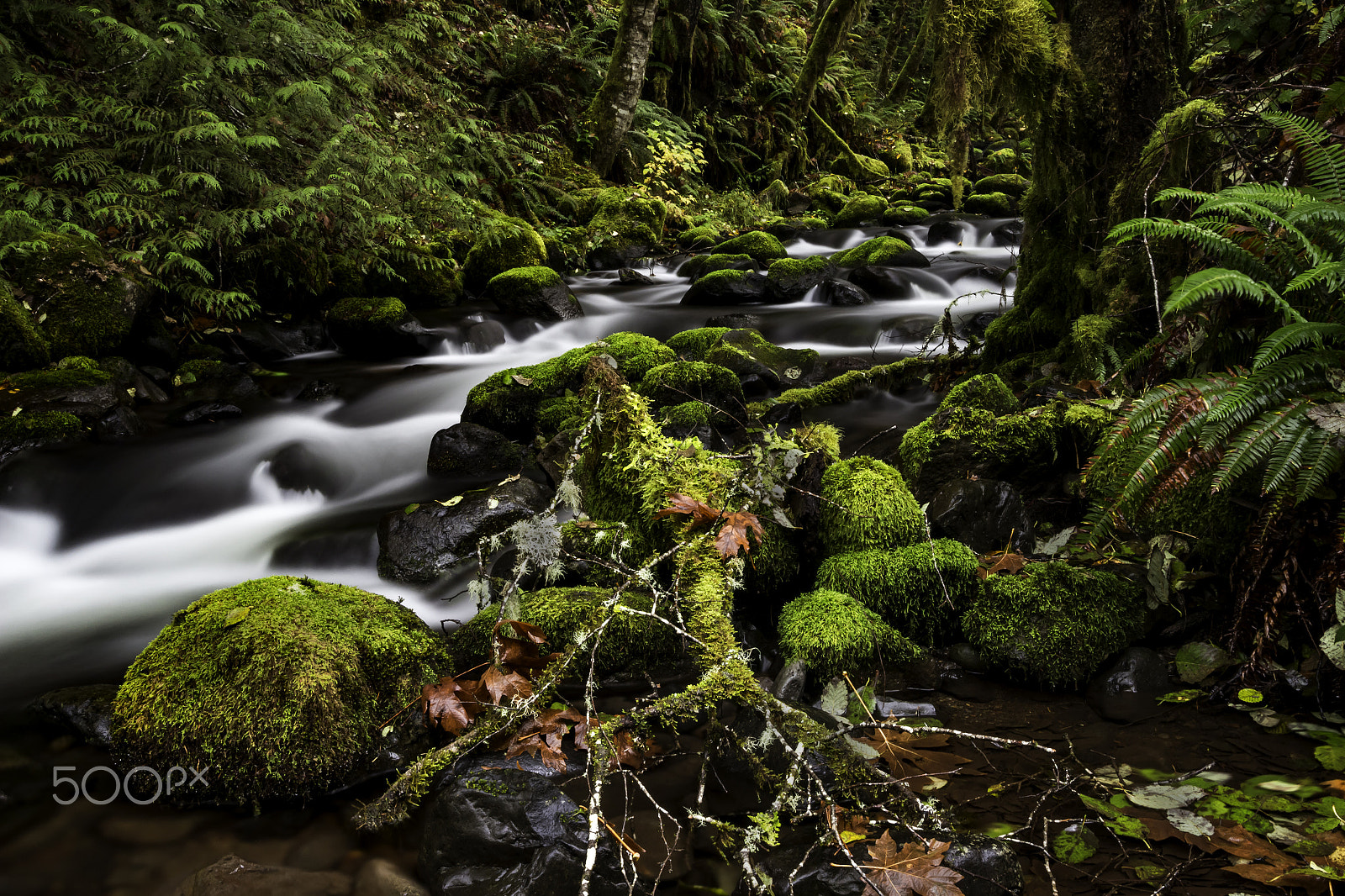 Canon EF-S 10-22mm F3.5-4.5 USM sample photo. The green stream photography