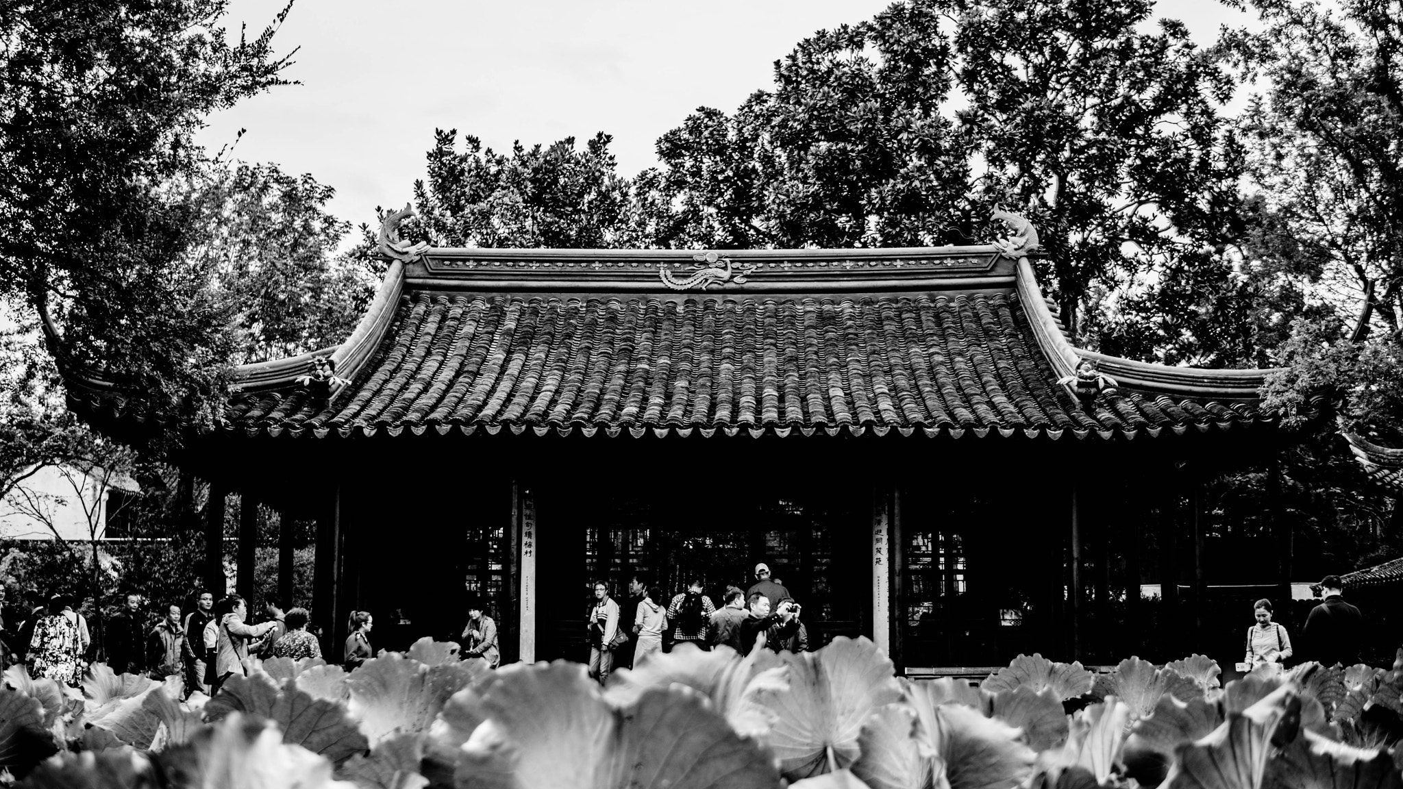 Sony Alpha NEX-7 + Sigma 30mm F1.4 DC DN | C sample photo. Oneday in soochow photography