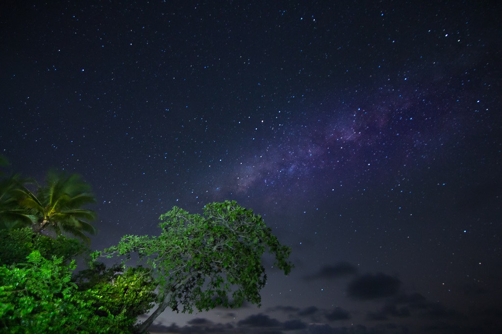 Canon EOS 650D (EOS Rebel T4i / EOS Kiss X6i) sample photo. Could be paradise photography