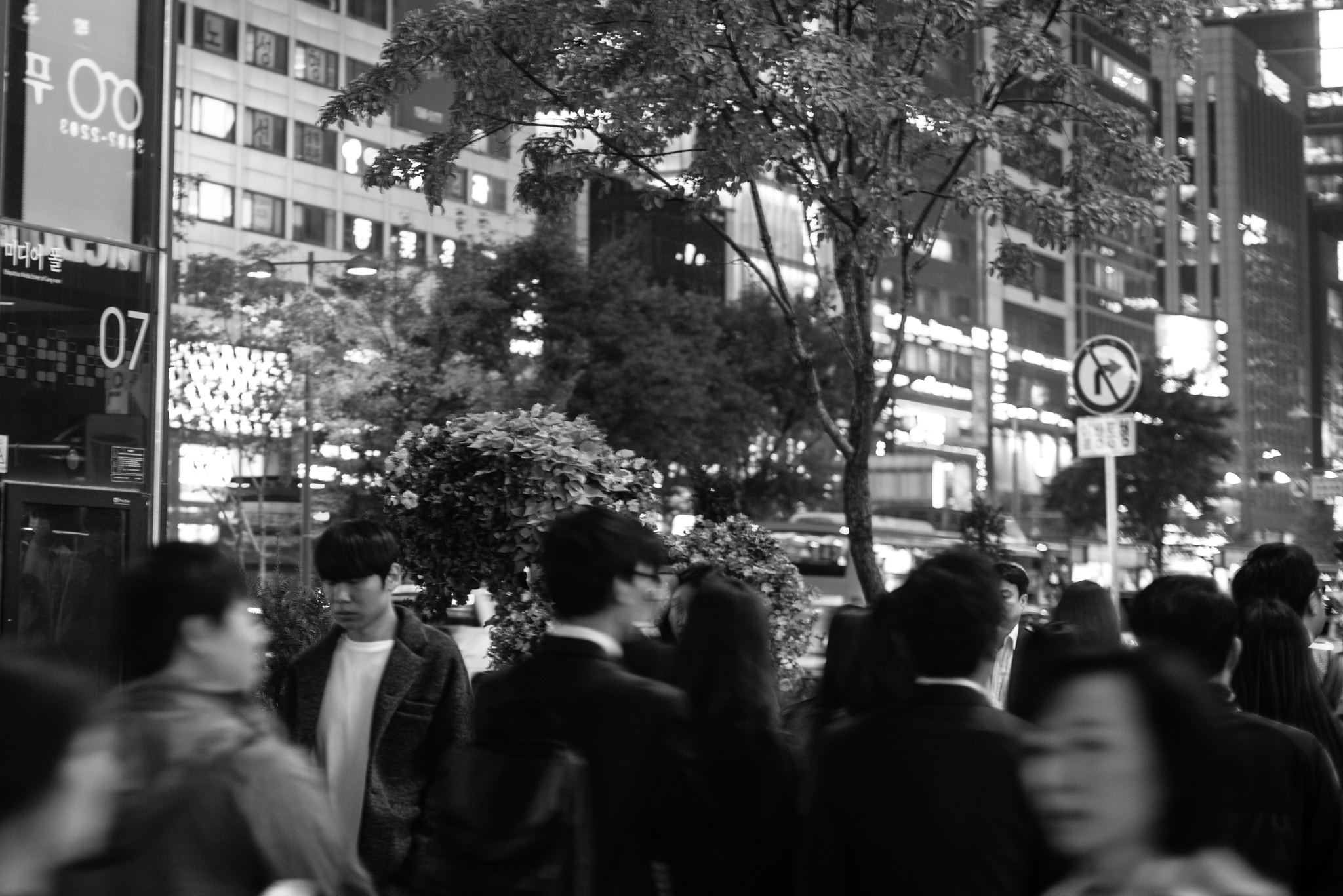 Nikon D750 + AF Nikkor 50mm f/1.4 sample photo. Seoulite, gangnam style photography