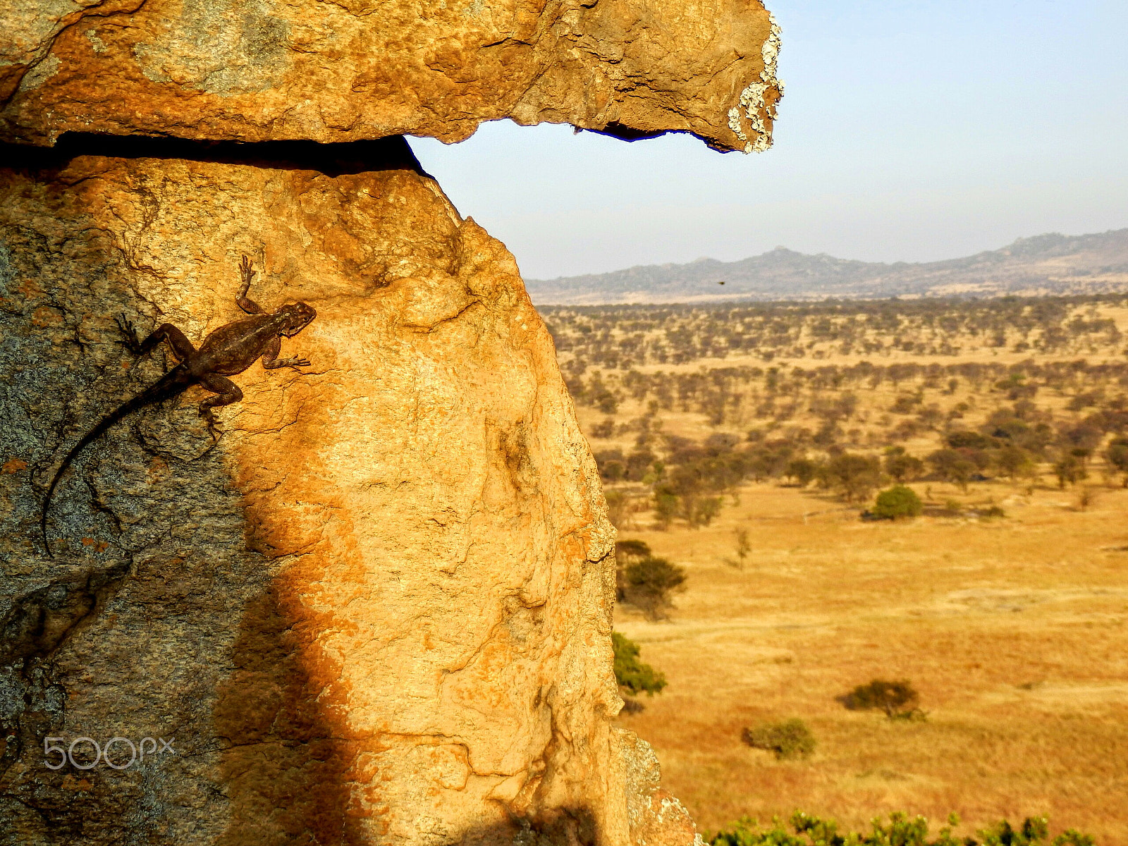 Olympus SZ-31MR sample photo. Welcome to the serengeti photography