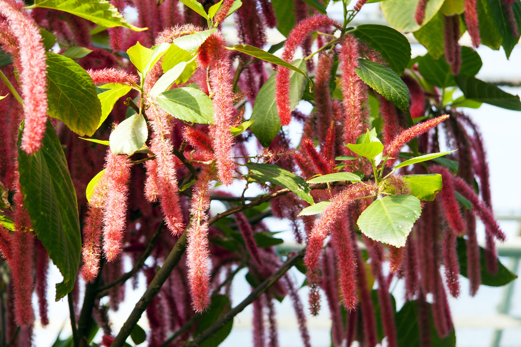 Canon EF-S 17-85mm F4-5.6 IS USM sample photo