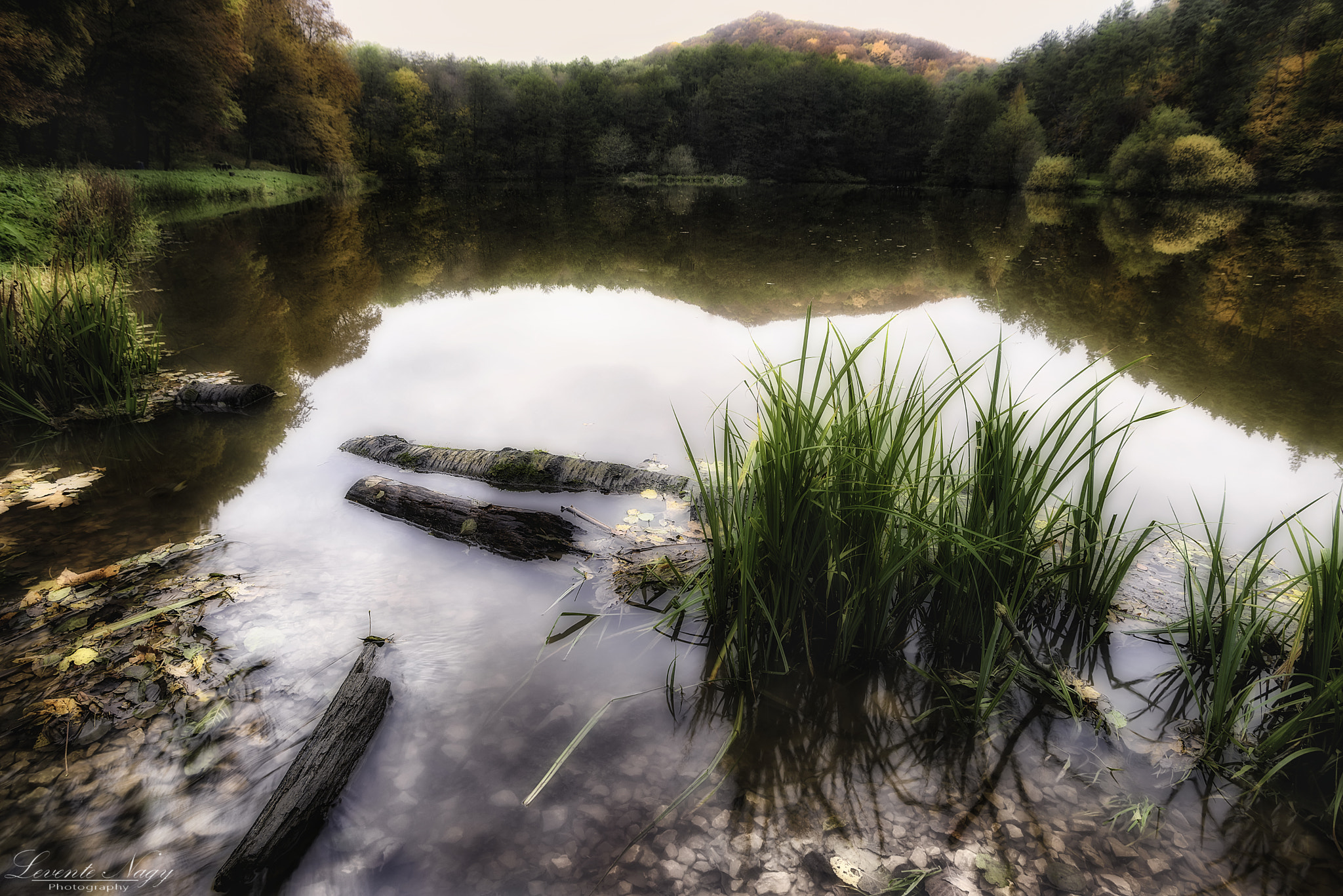 Nikon D600 sample photo. Lake-ménes photography