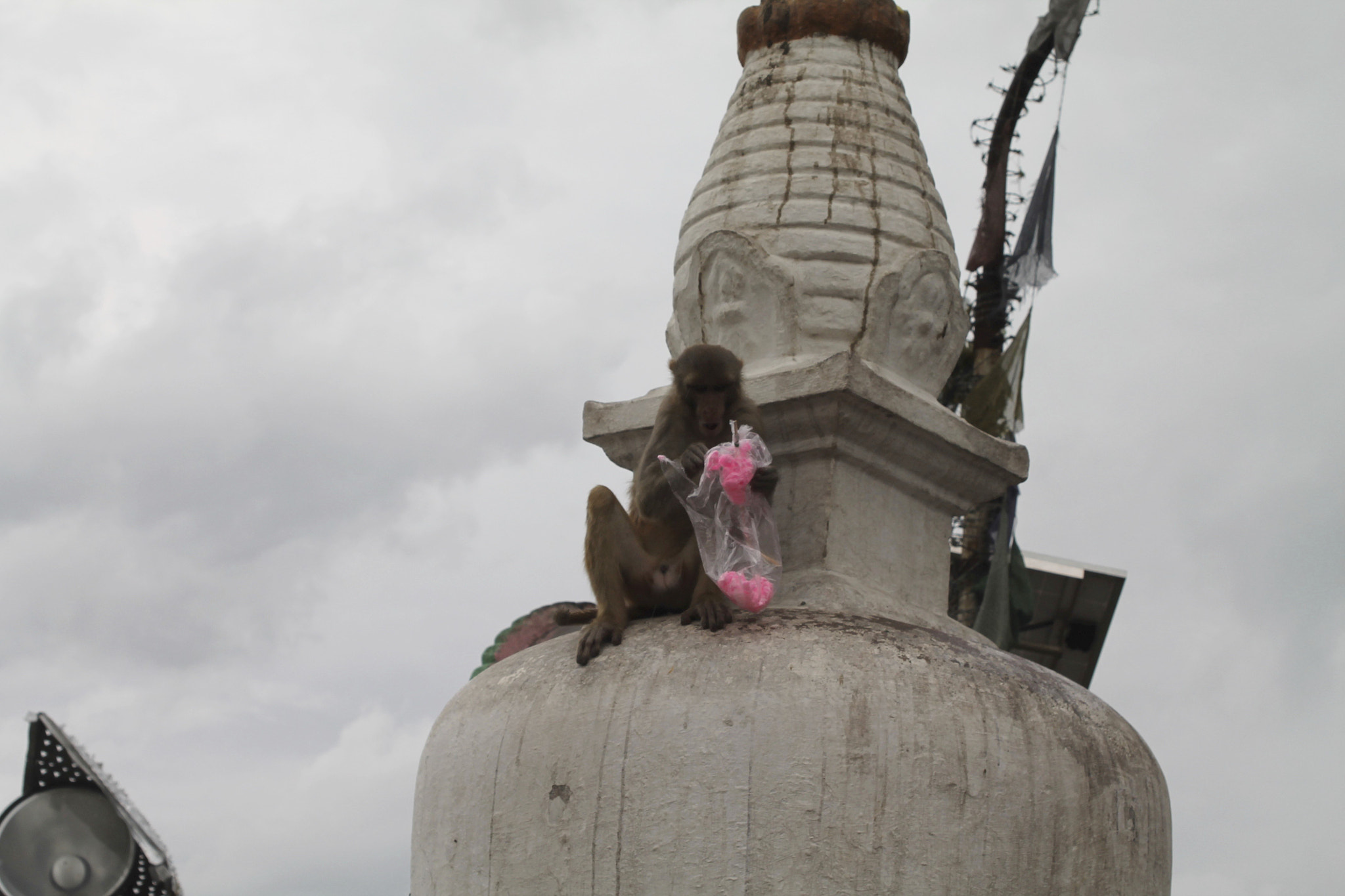 Canon EF 28-105mm f/3.5-4.5 USM sample photo. Swayambhunath temple, kathmandu, nepal photography