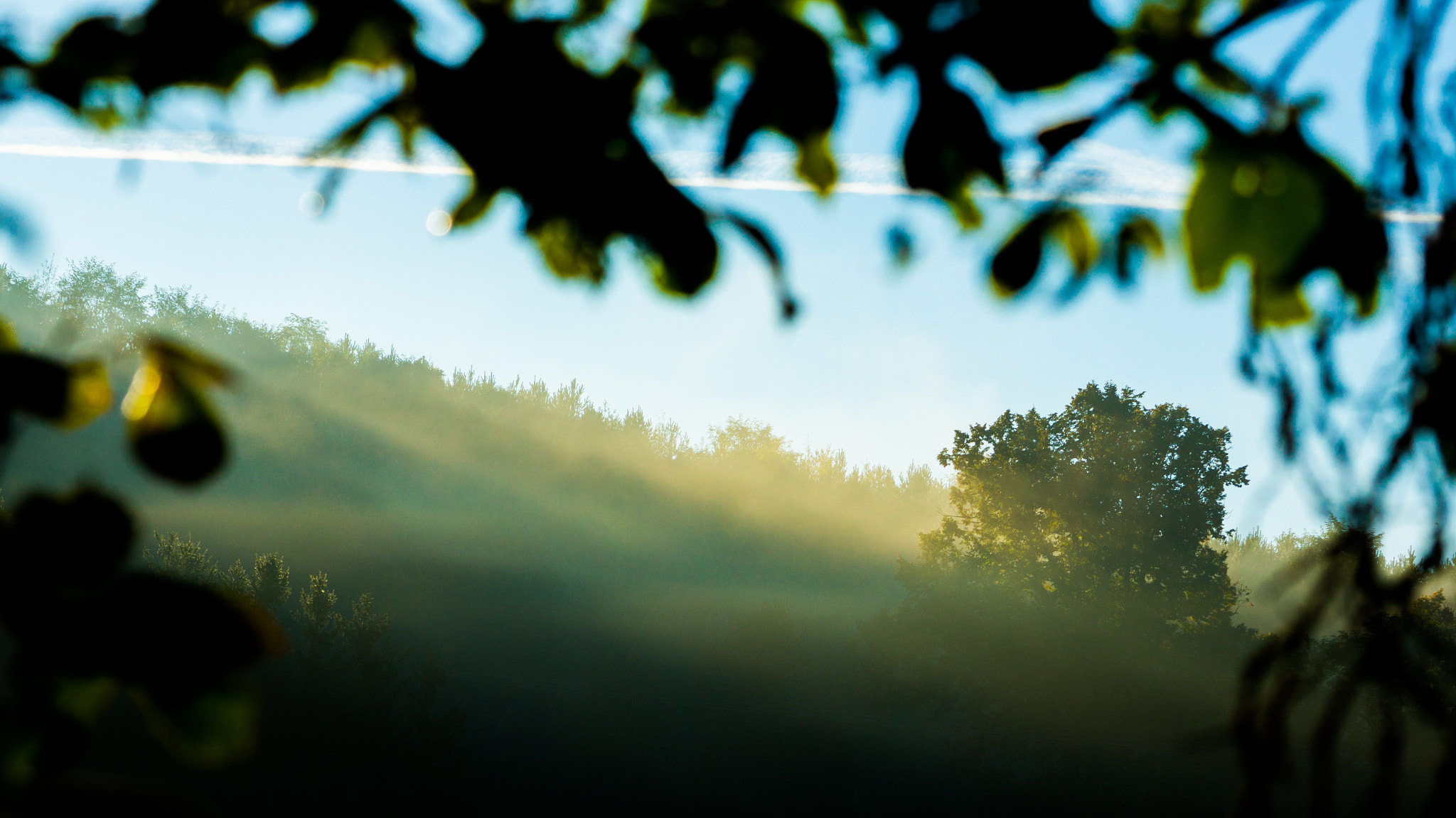 Sony Alpha NEX-7 + 90mm F2.8 Macro G OSS sample photo. Peak through photography