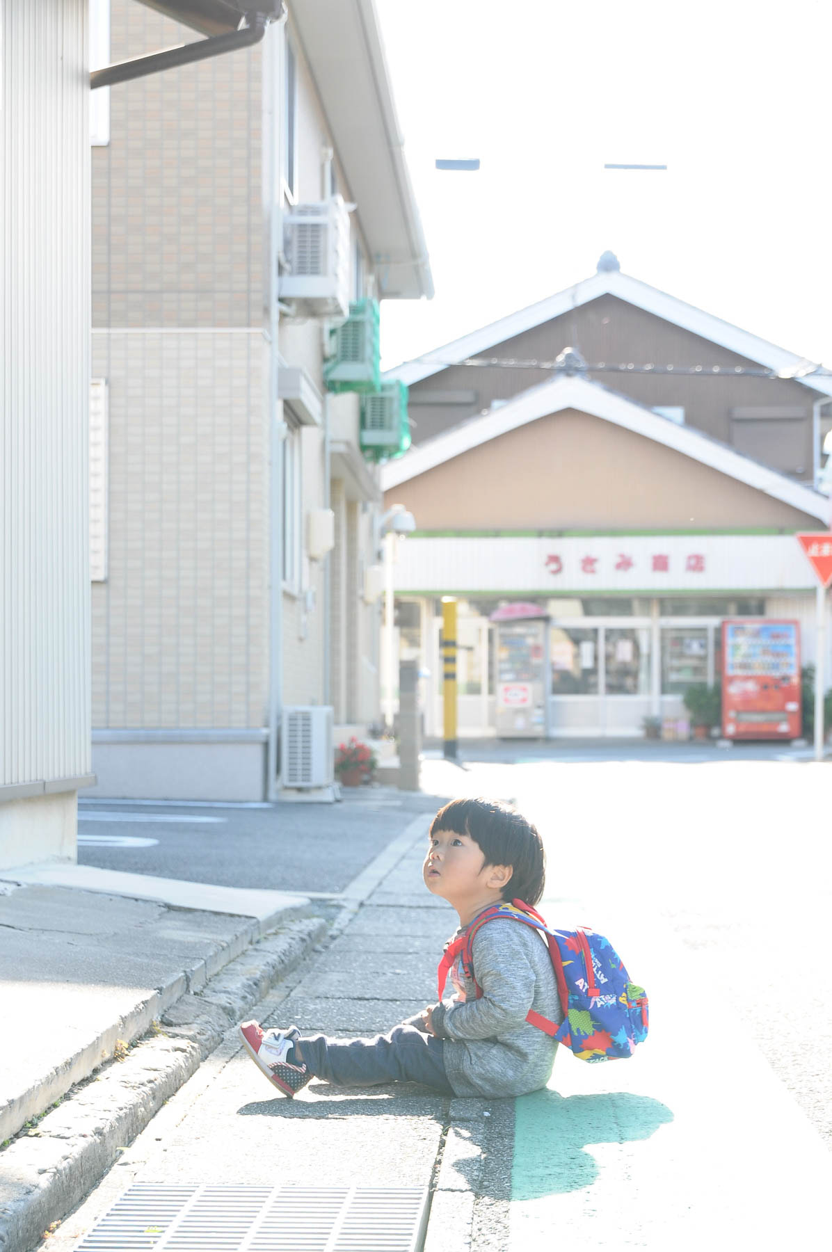 Nikon D300S sample photo
