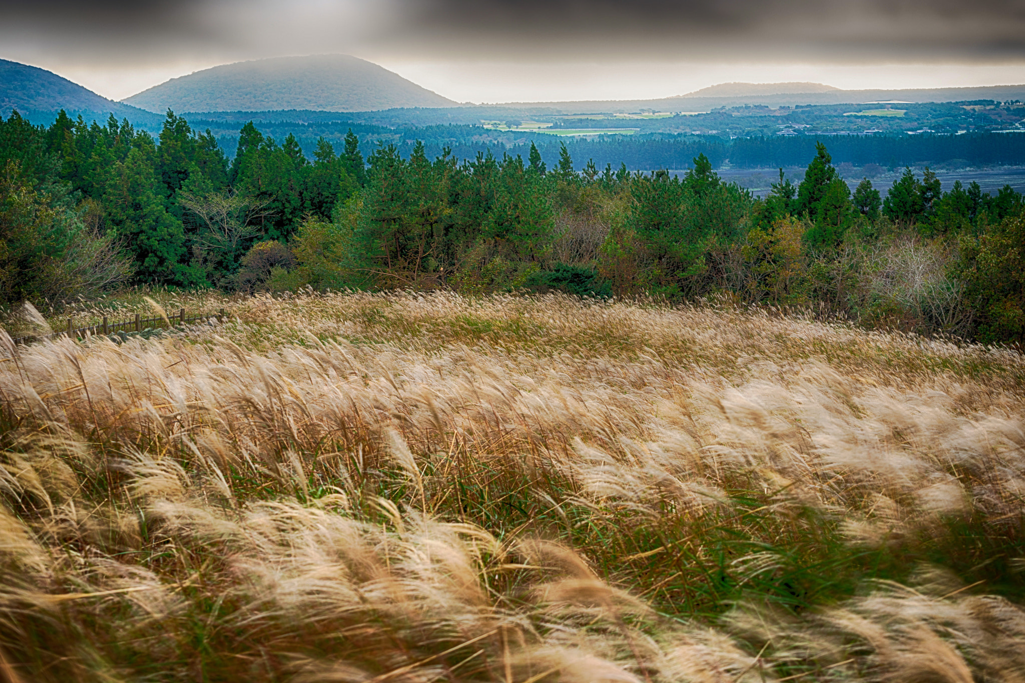 Nikon D800 sample photo. Fall in autumn photography