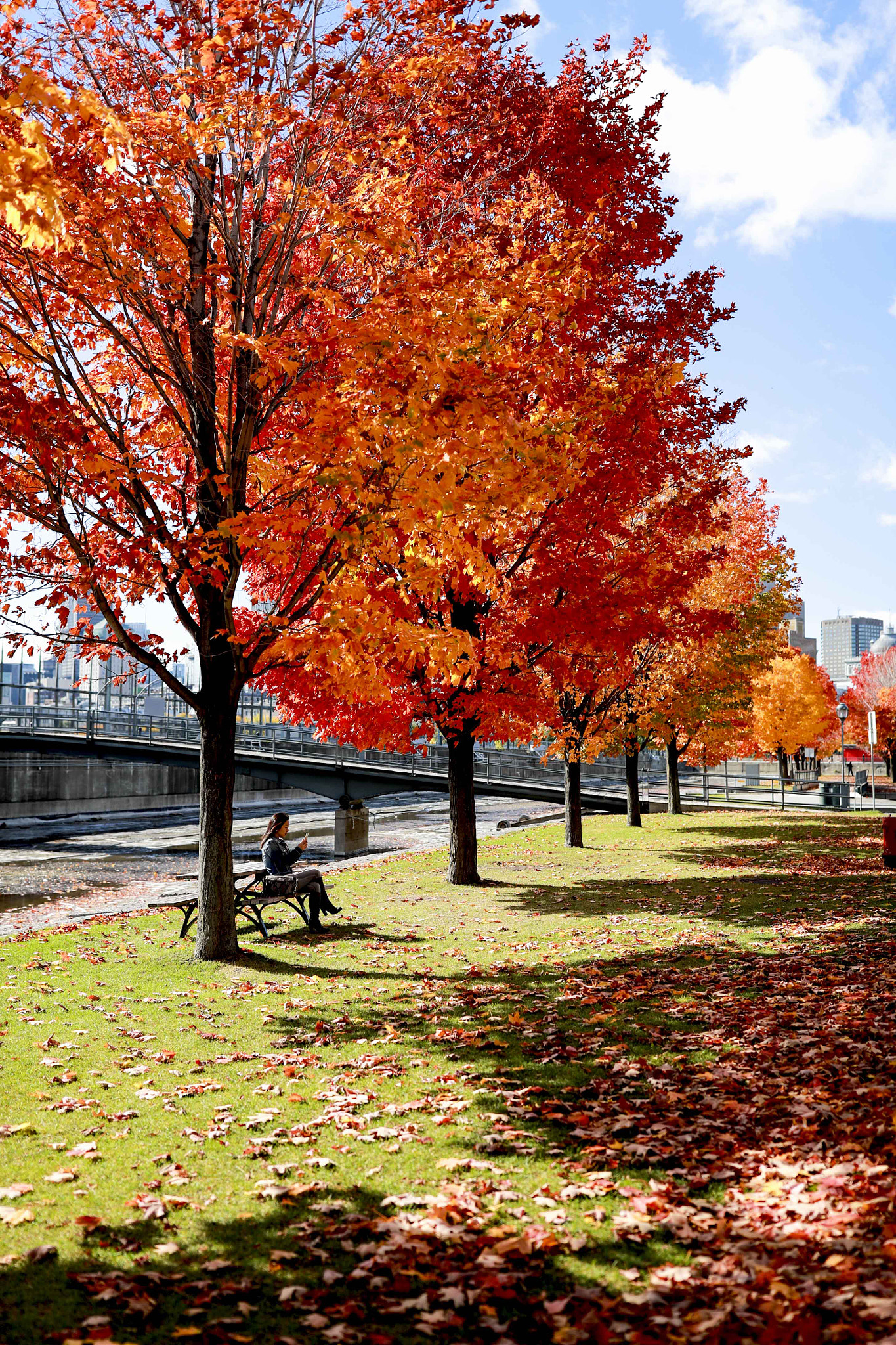 Canon EF 35mm F1.4L II USM sample photo. Fall autumn photography