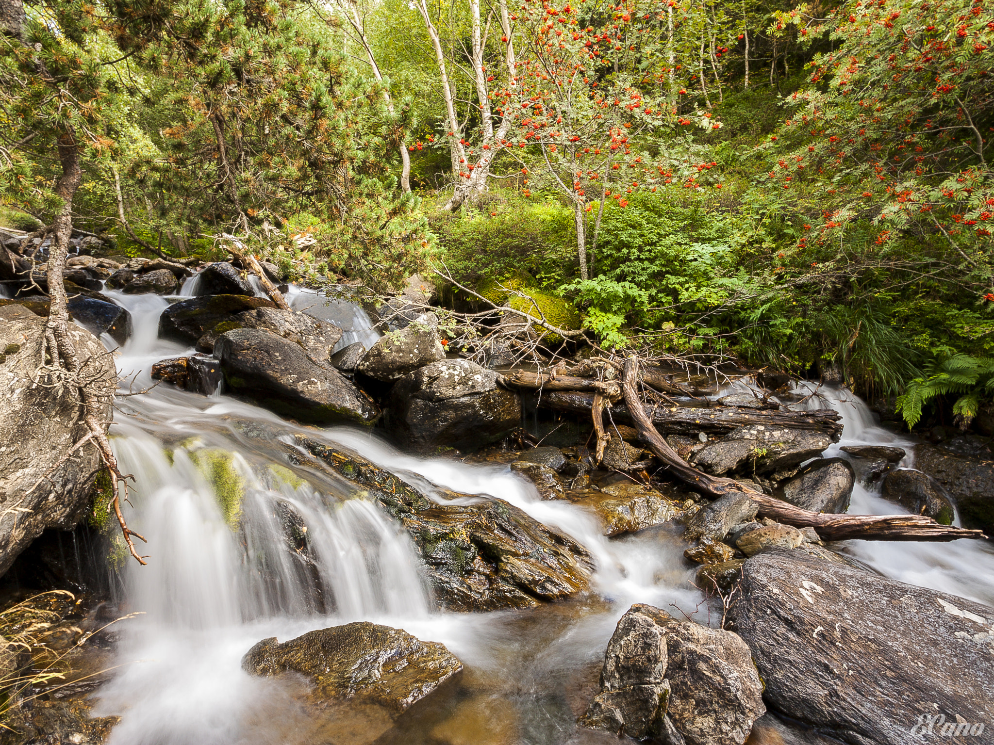Sigma 10-20mm F3.5 EX DC HSM sample photo. The river v photography