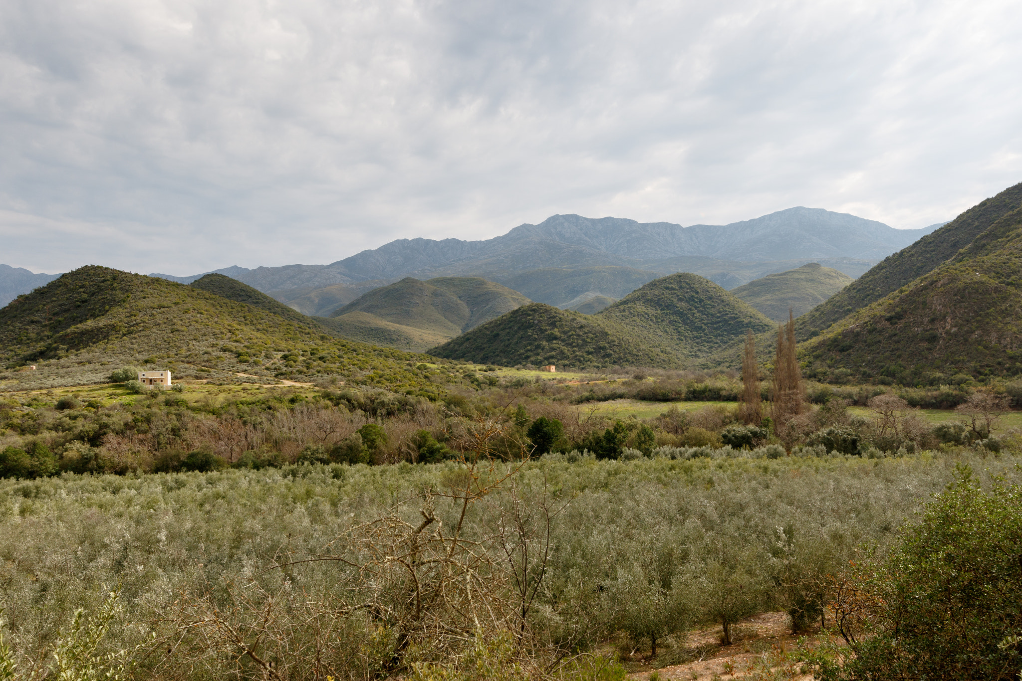 Canon EF 300mm f/2.8L sample photo. Green orchard view with mountains and moody clouds photography