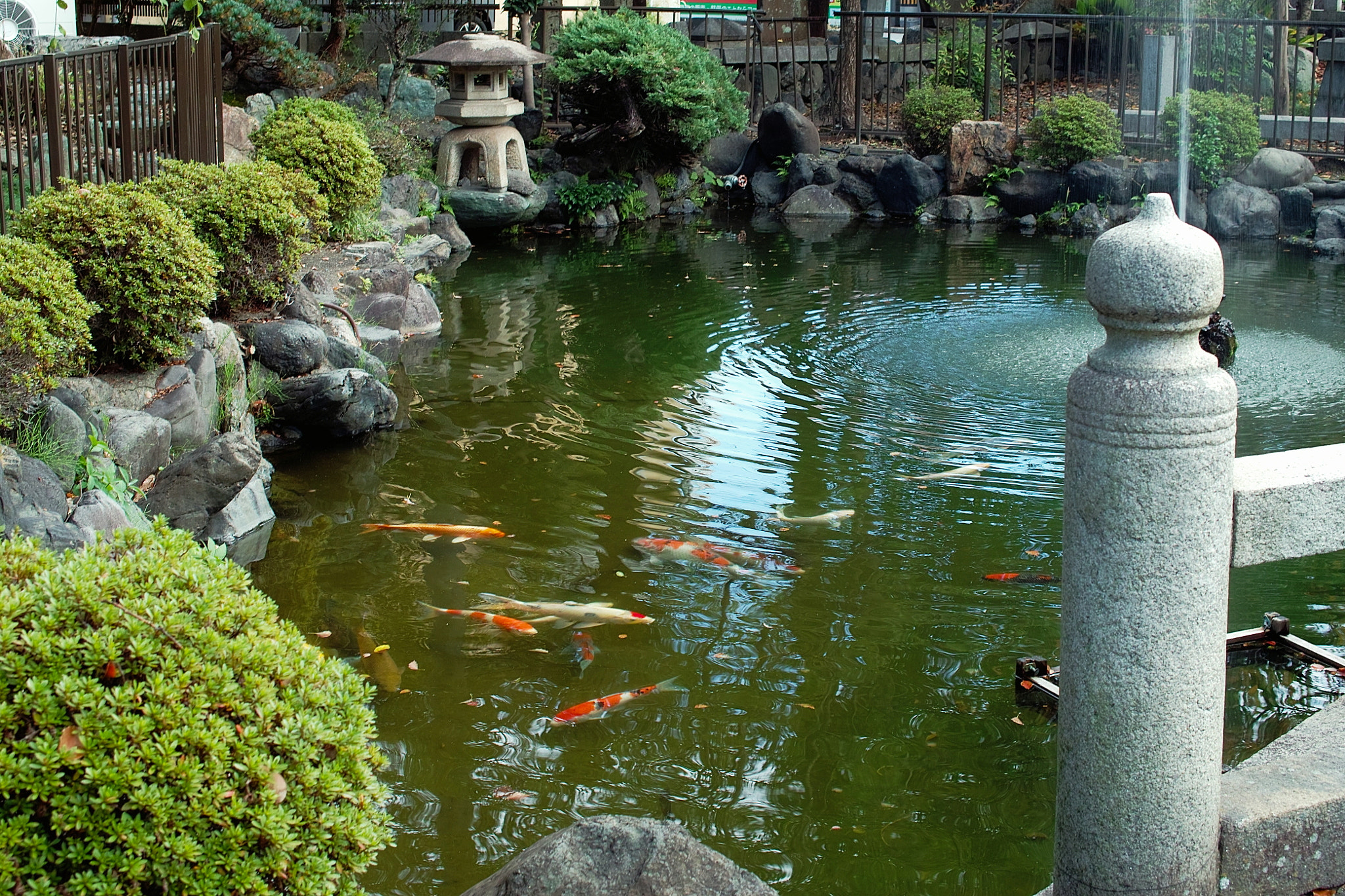 Sigma DP2 sample photo. Japanese garden and carp streamer in a pond photography