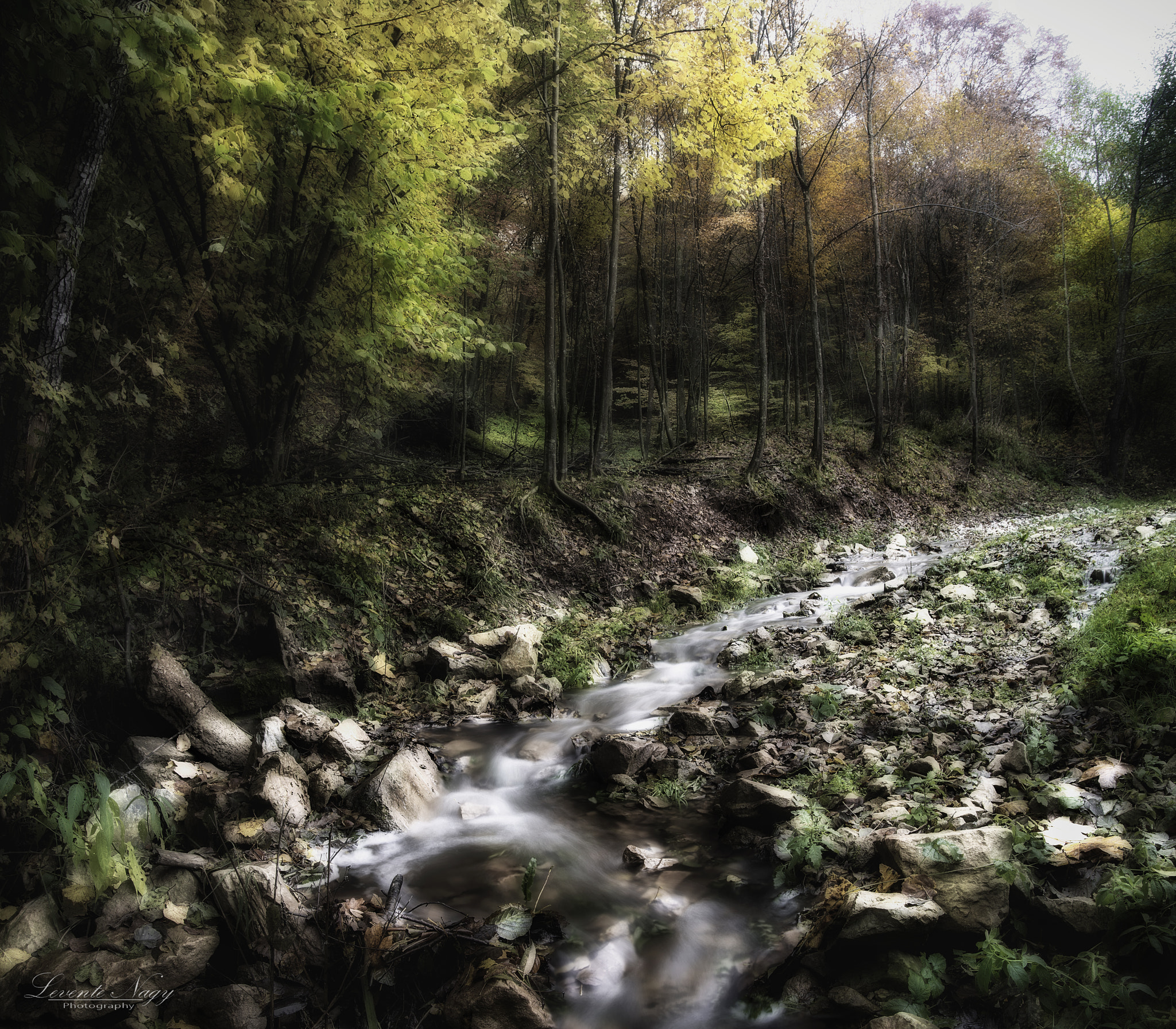 Nikon D600 sample photo. Motion ii. photography