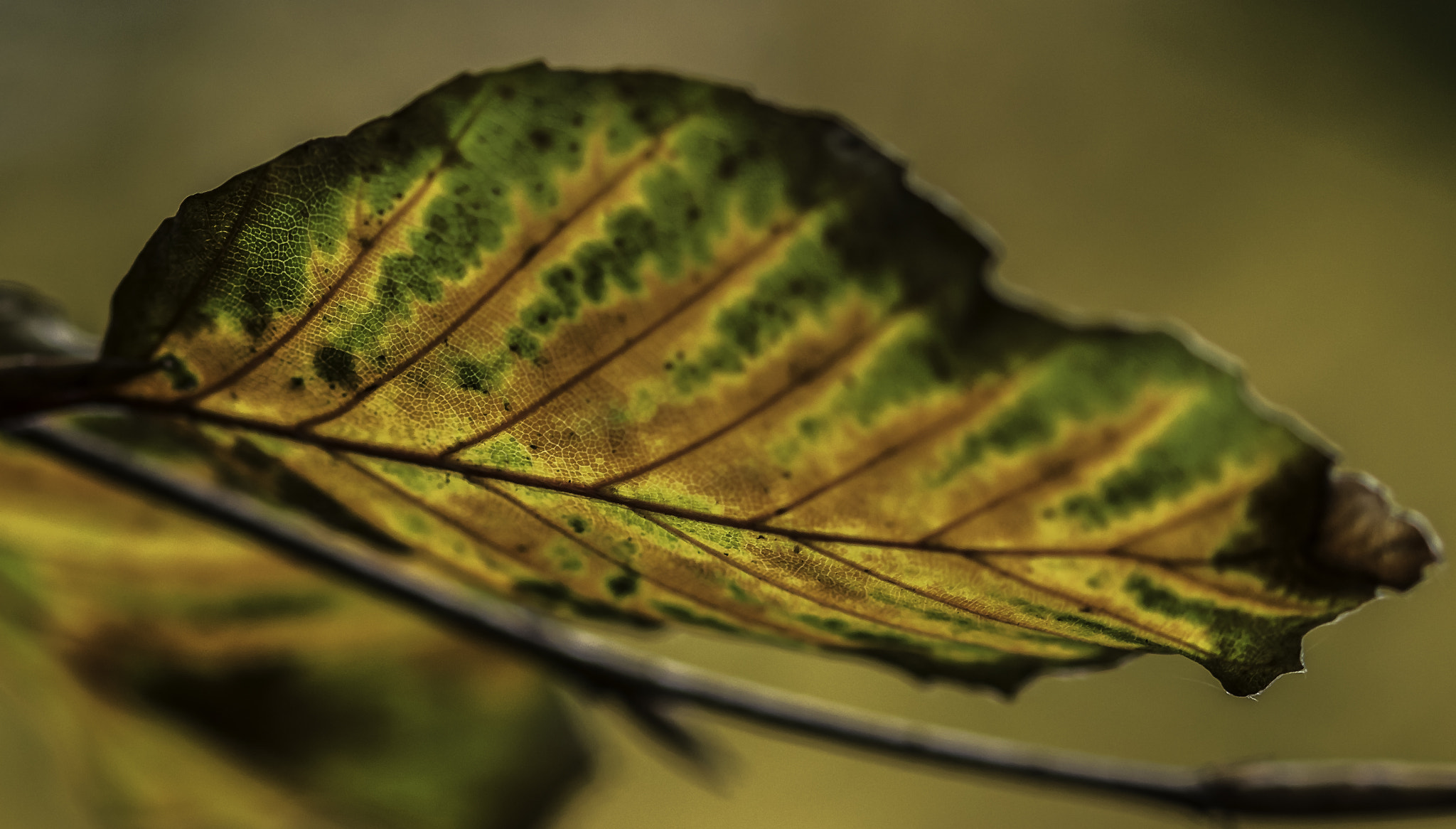 Sigma 105mm F2.8 EX DG OS HSM sample photo. Ebb and flow photography