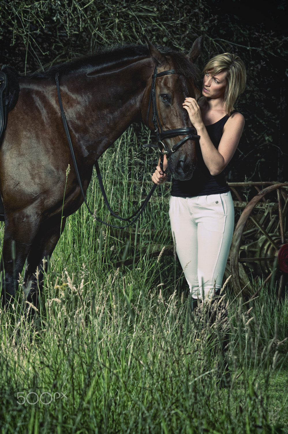 Nikon D700 + AF DC-Nikkor 135mm f/2 sample photo. Horse on camera photography