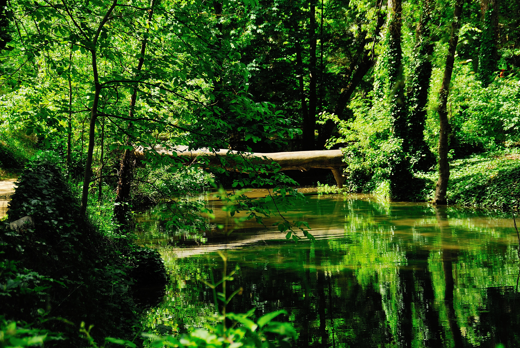 Nikon D200 sample photo. Monasterio de piedra photography