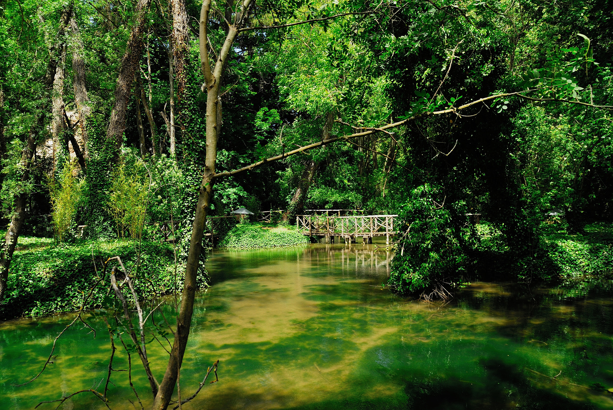 Nikon D200 sample photo. Monasterio de piedra photography
