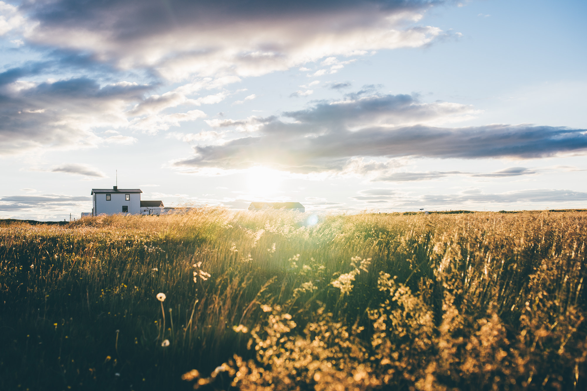 Sony a7 + Sigma 35mm F1.4 DG HSM Art sample photo. Grímsstaðir photography