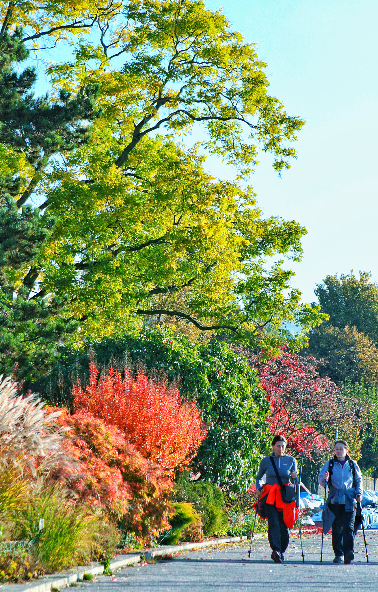 Canon EOS 500D (EOS Rebel T1i / EOS Kiss X3) + Canon EF 24-70mm F2.8L USM sample photo. An early morning walk is a blessing for a whole day... photography