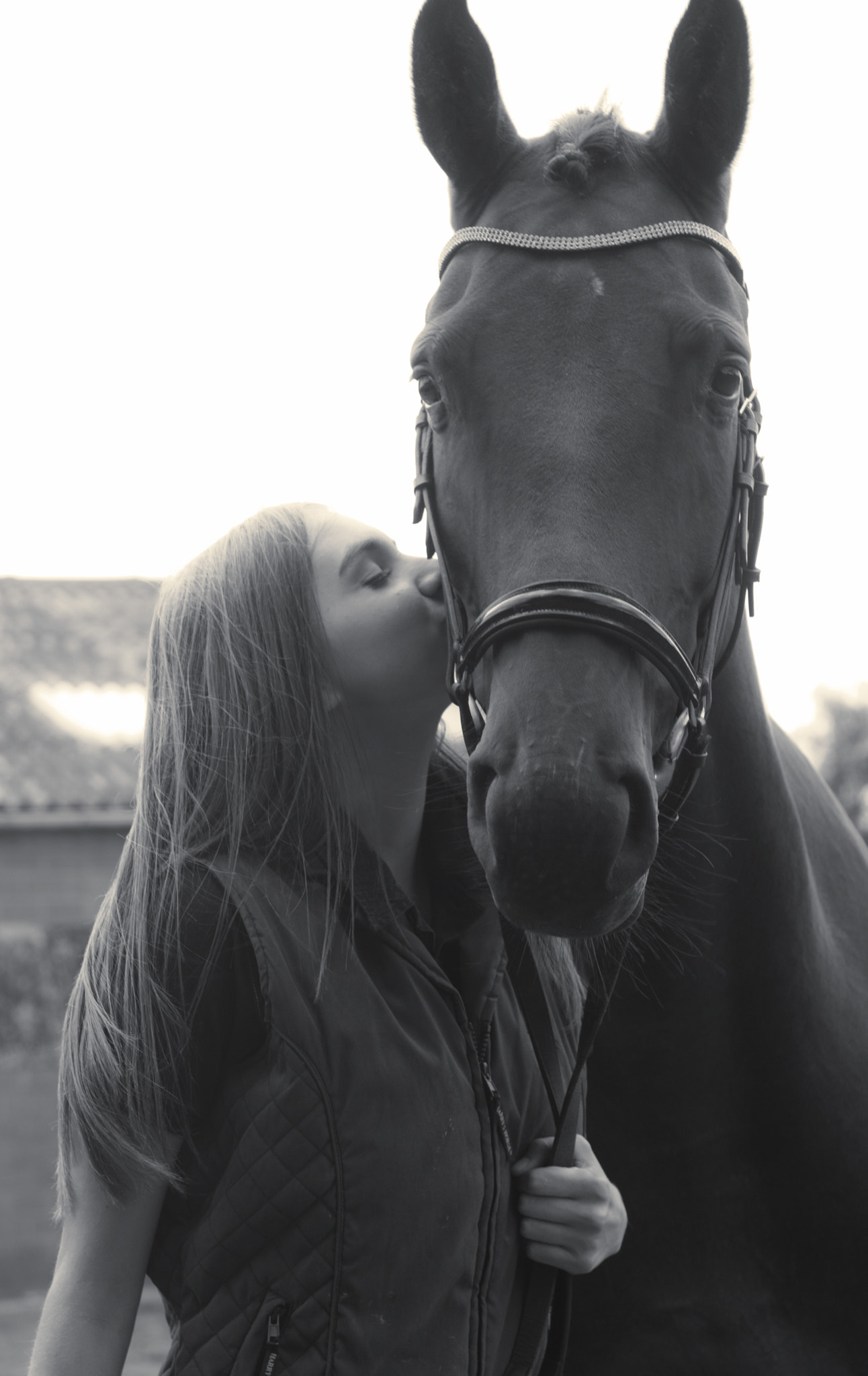 Nikon AF-S Nikkor 24-70mm F2.8G ED sample photo. Jana horse photography