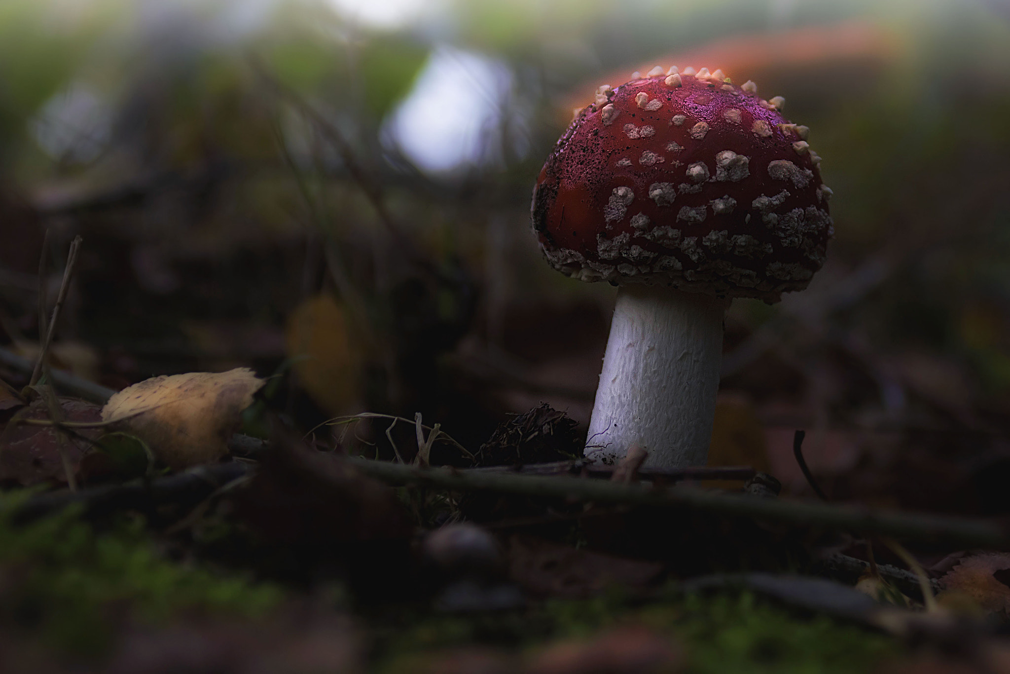 EF28-70mm f/2.8L USM sample photo. An early autumn morning photography