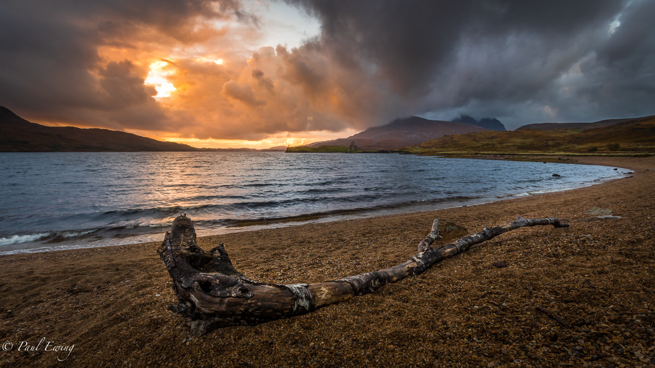 Sigma 10-20mm F4-5.6 EX DC HSM sample photo. Driftwood at loch assynt, scotland photography