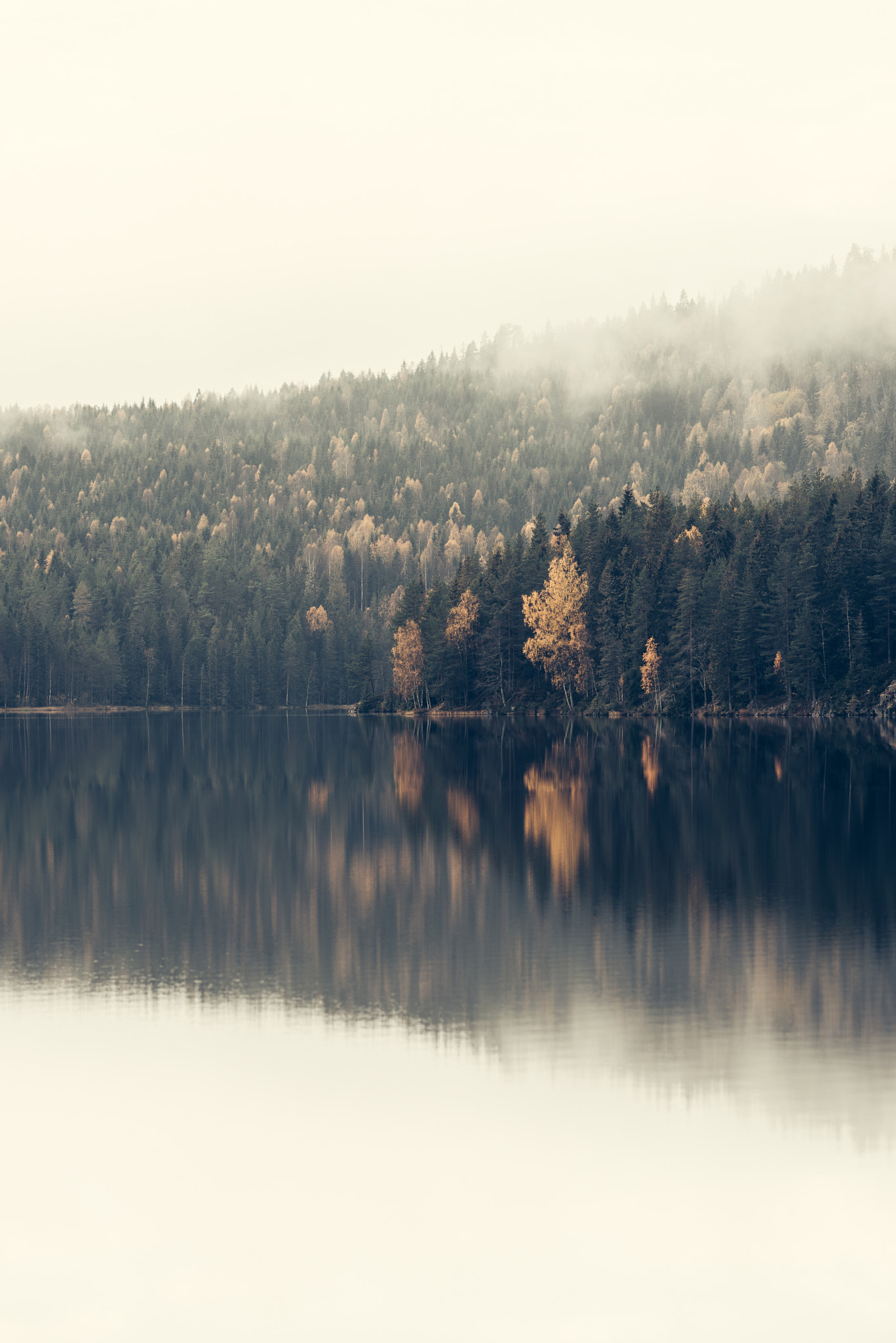 Nikon D810 + ZEISS Apo Sonnar T* 135mm F2 sample photo. Autumn photography