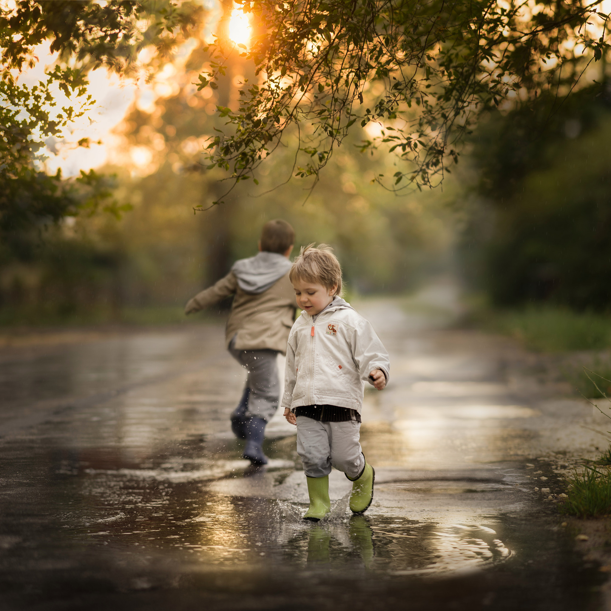 Sony Sonnar T* 135mm F1.8 ZA sample photo. After the rain photography