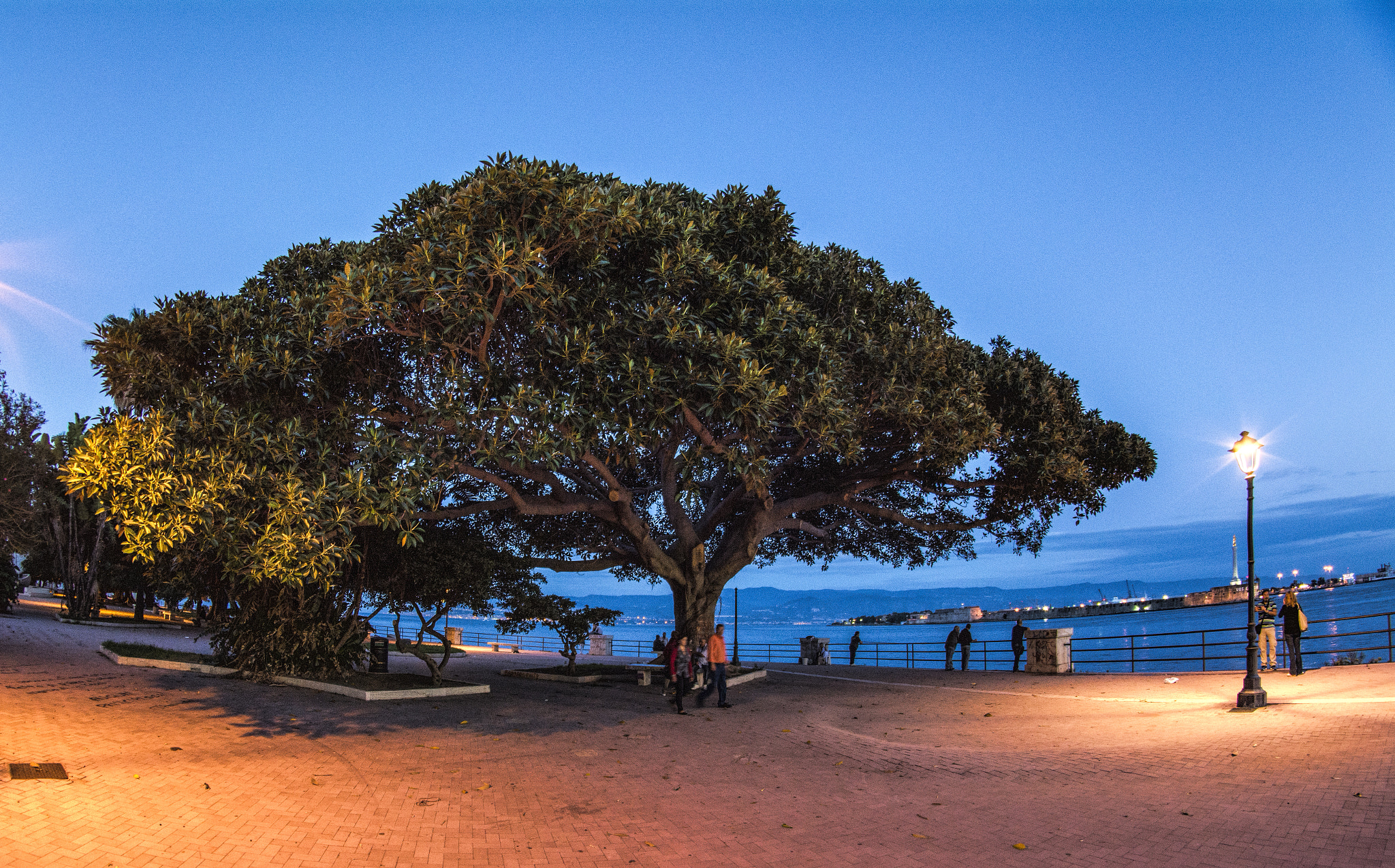 Samyang 8mm F3.5 Aspherical IF MC Fisheye sample photo. Messina  live photography