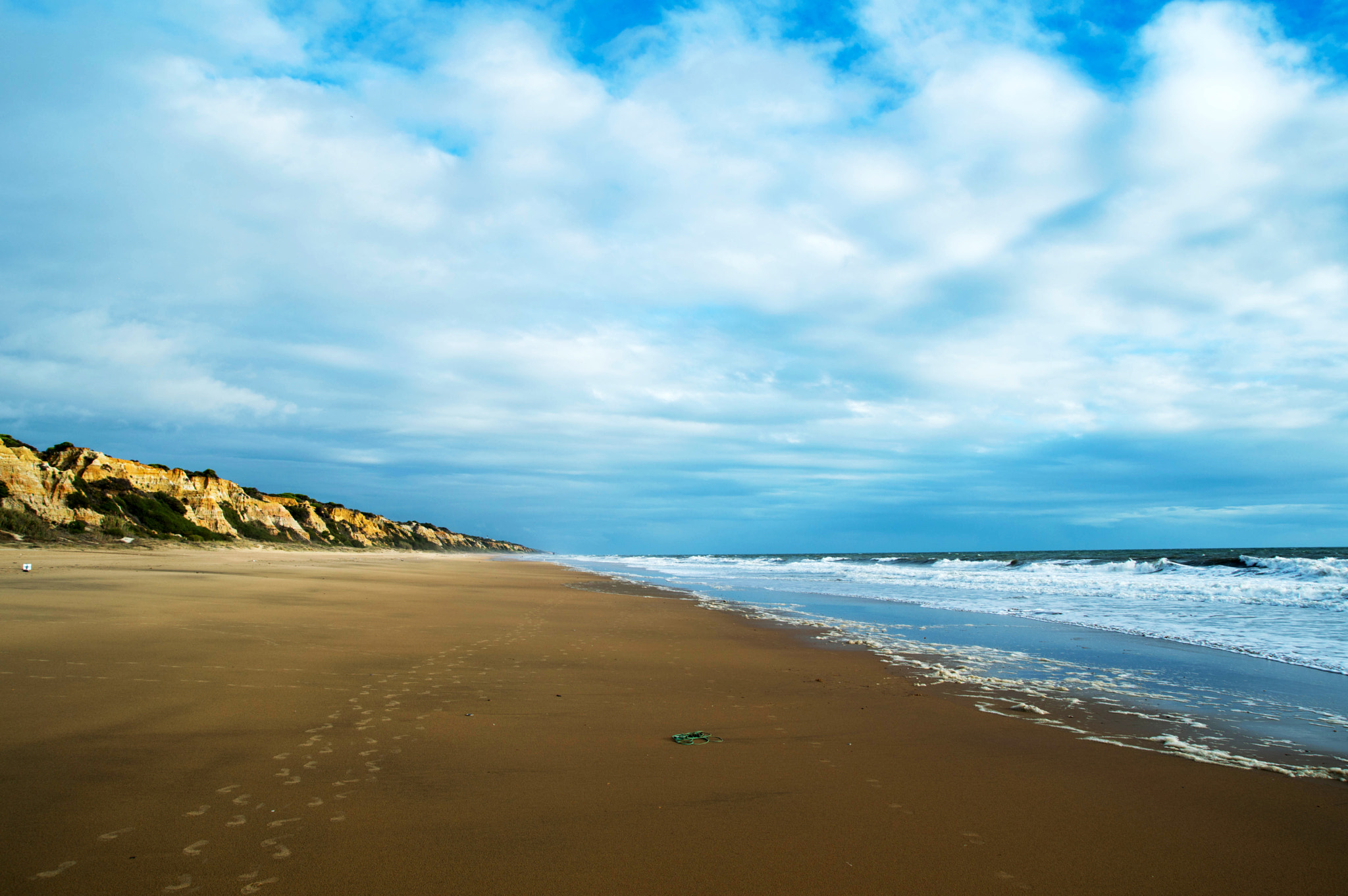 Nikon D3200 sample photo. Mz photography