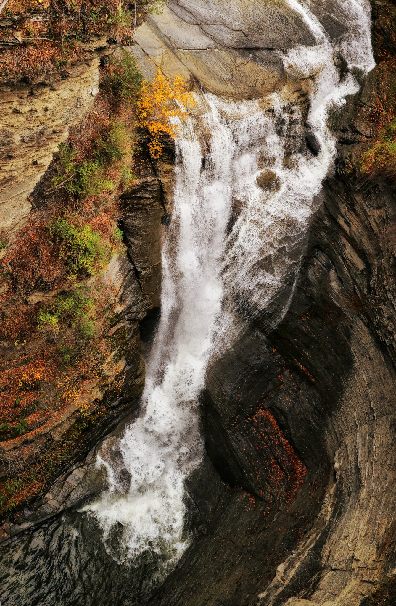 Canon EF-M 11-22mm F4-5.6 IS STM sample photo