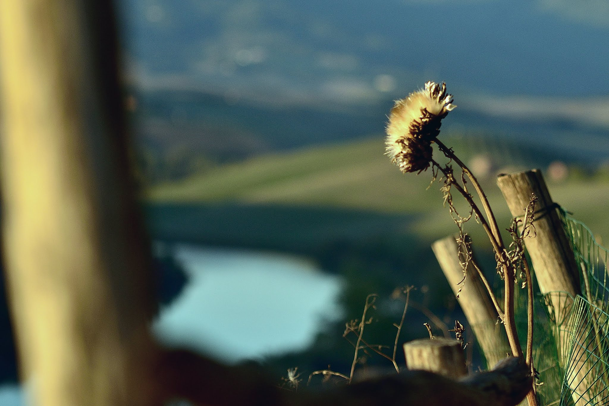 Sigma 70-200mm F2.8 EX DG Macro HSM II sample photo. Enjoy the last sunrays photography