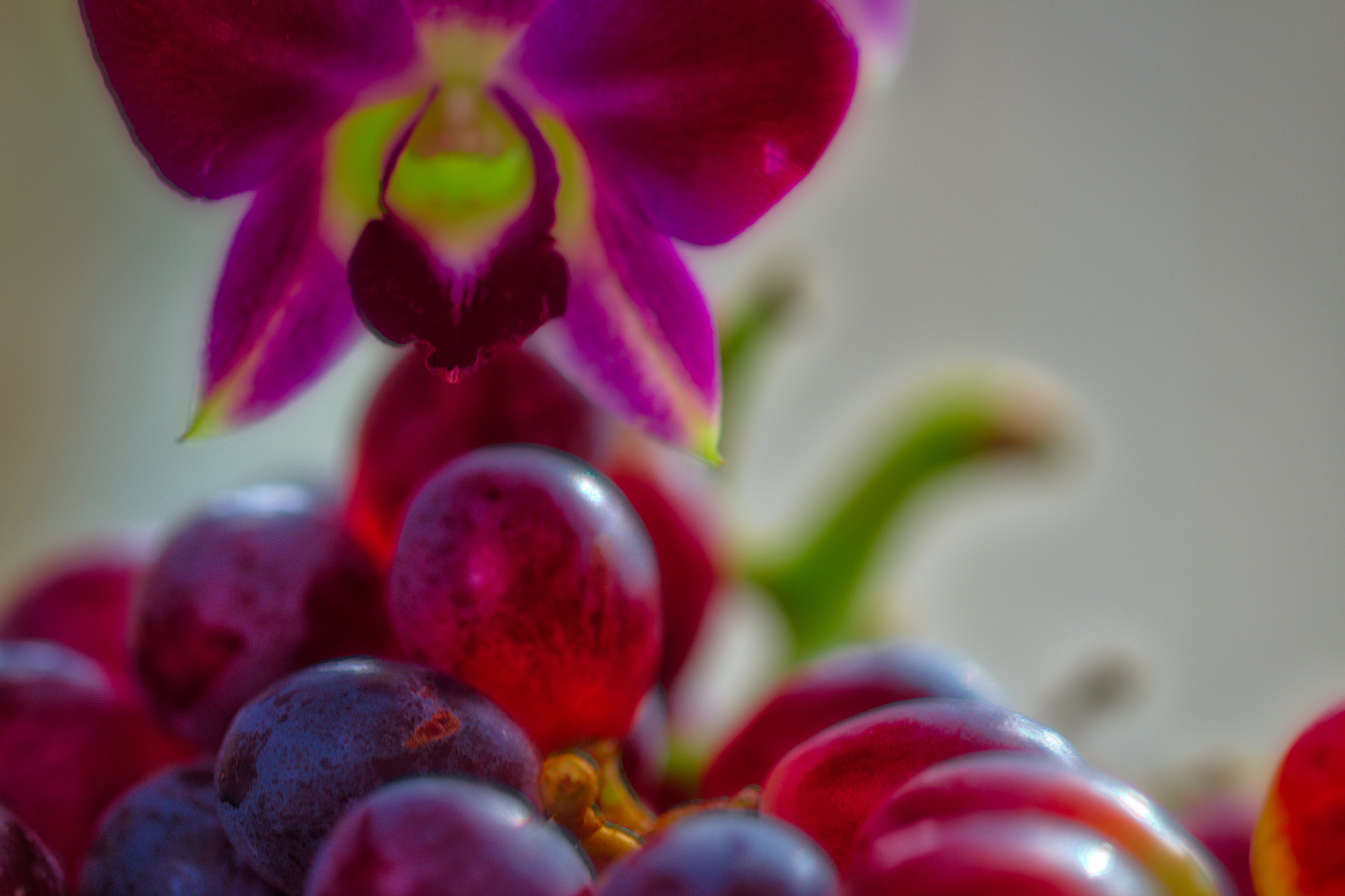 Canon EF 100mm F2.8L Macro IS USM sample photo. Hdr photography