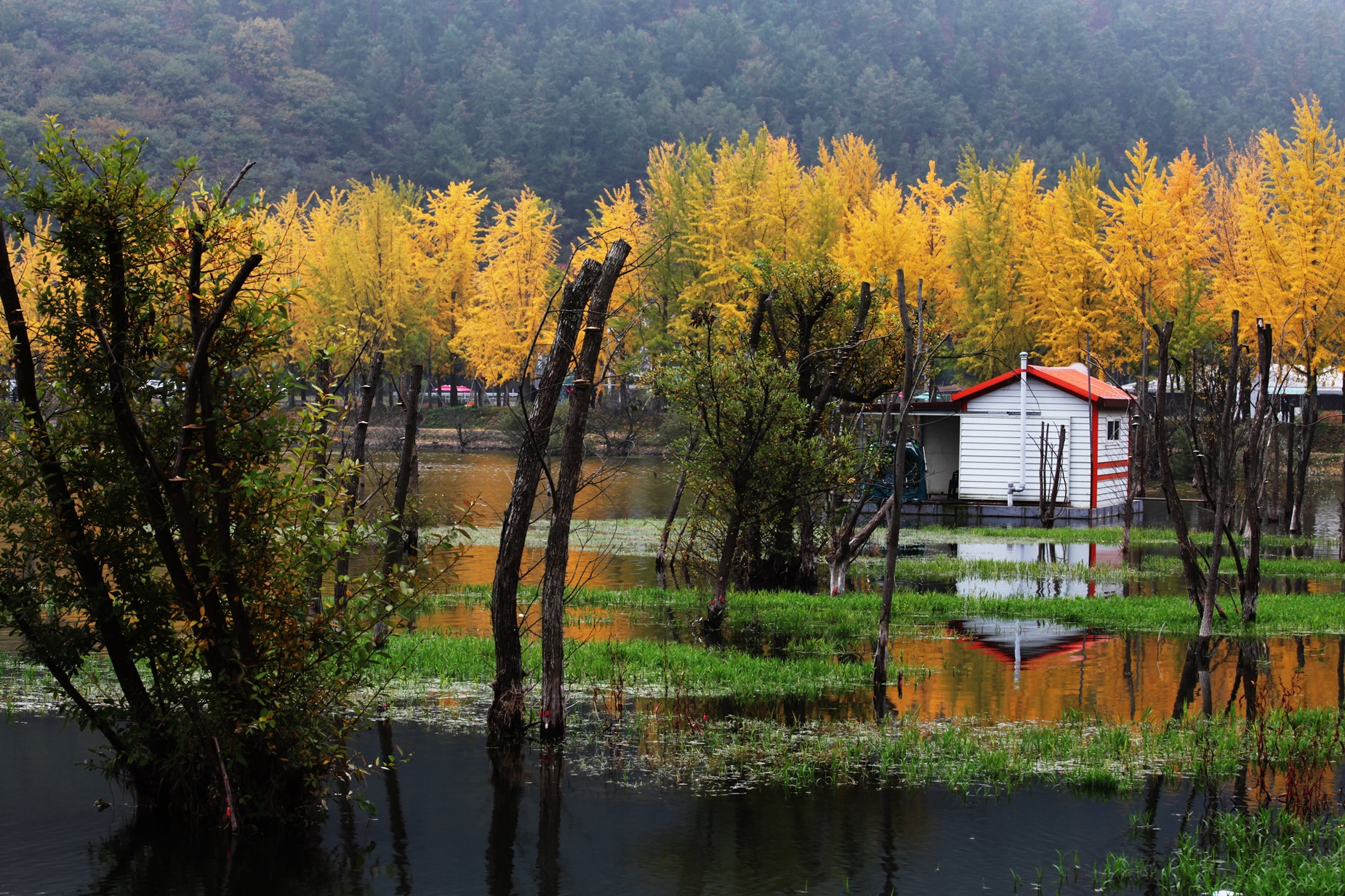 Canon EOS 5D Mark II sample photo. Autumn photography