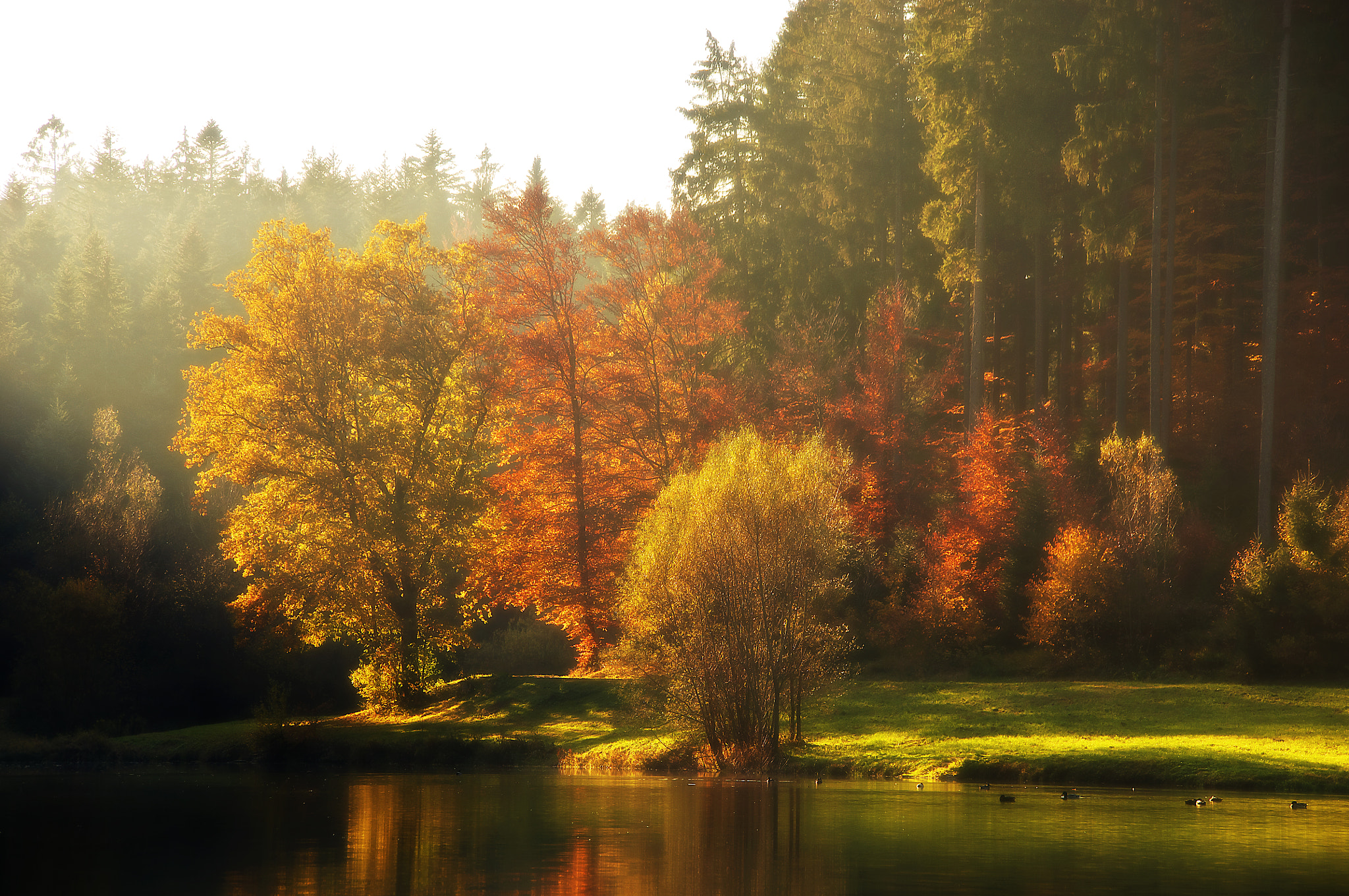 Nikon D2X + Sigma 18-200mm F3.5-6.3 DC sample photo. Herbstlich photography