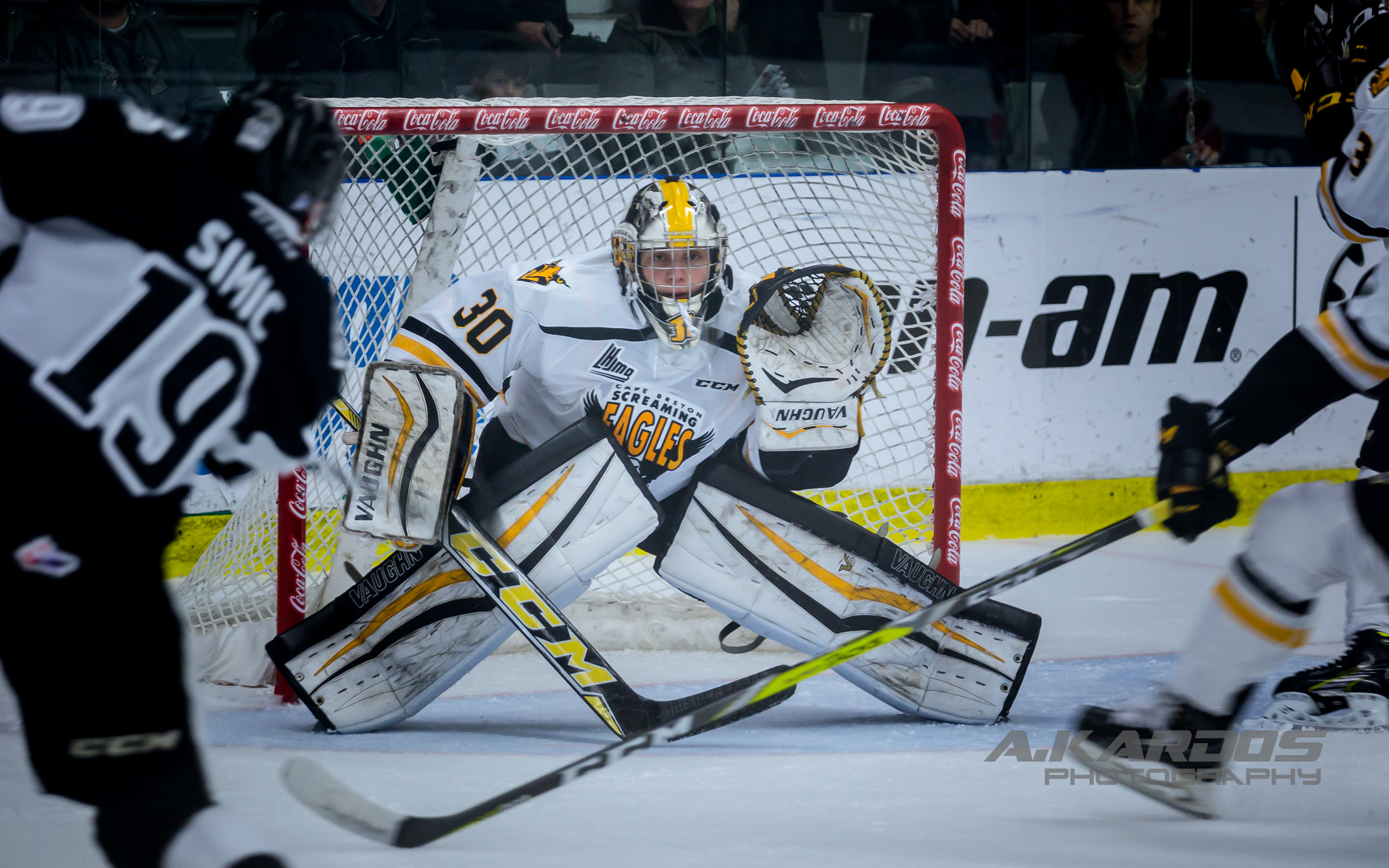 Canon EOS 700D (EOS Rebel T5i / EOS Kiss X7i) + Canon EF 70-200mm F4L USM sample photo. Kyle jessiman - cape breton, screaming eagles (2016) photography