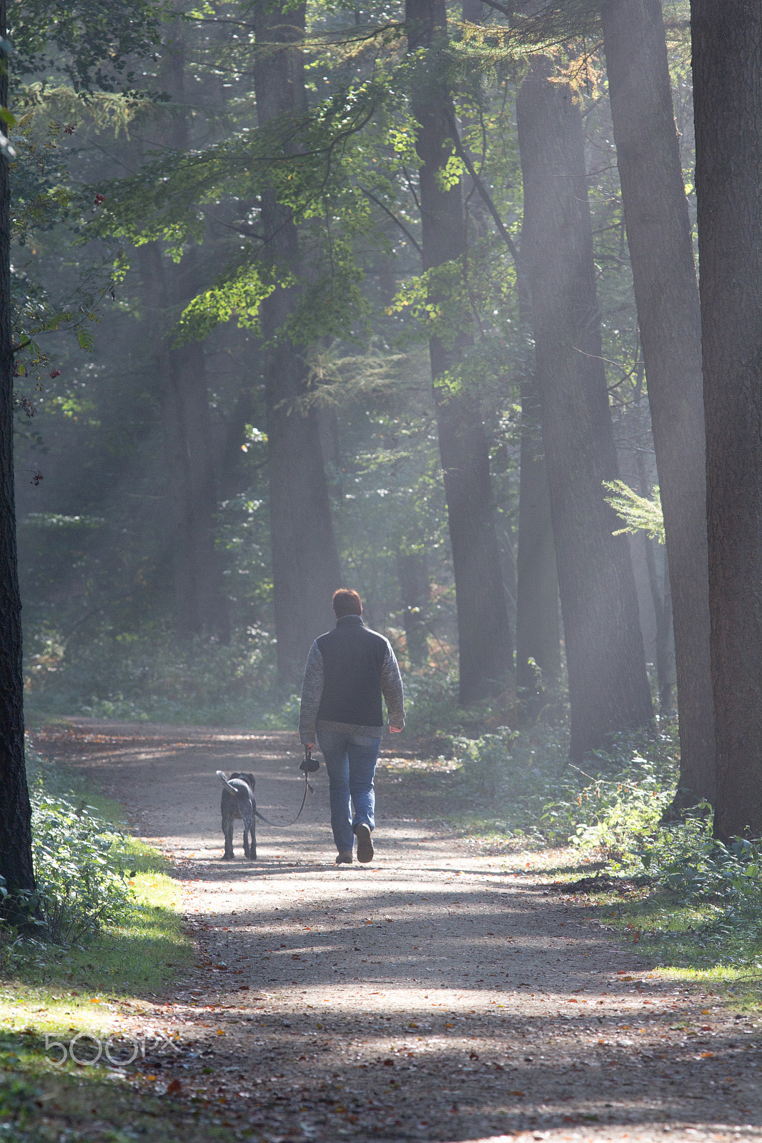 Canon EF 70-200mm F2.8L IS USM sample photo. Taking a walk photography