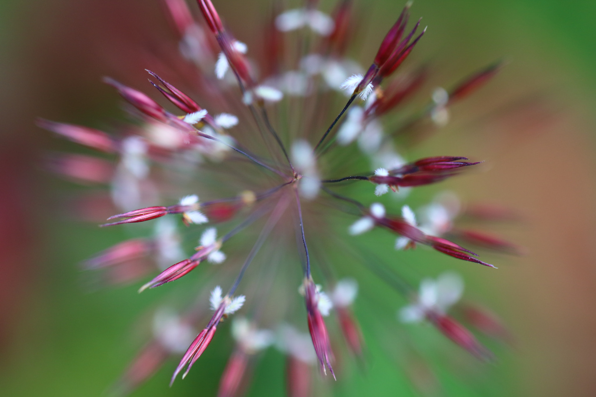Canon EOS M3 sample photo. Arrows photography
