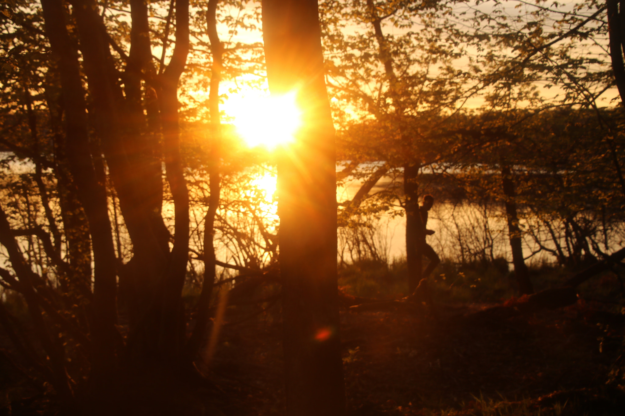 Canon EOS 750D (EOS Rebel T6i / EOS Kiss X8i) sample photo. Img photography