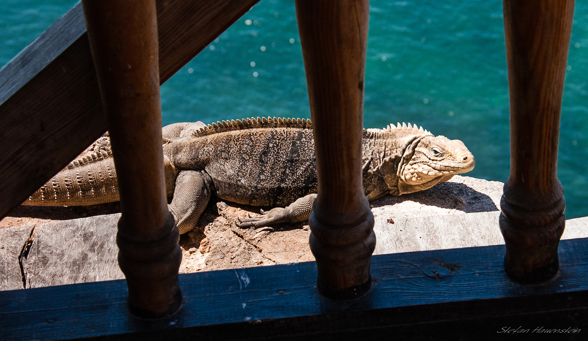 Nikon D70s sample photo. Don't disturb photography