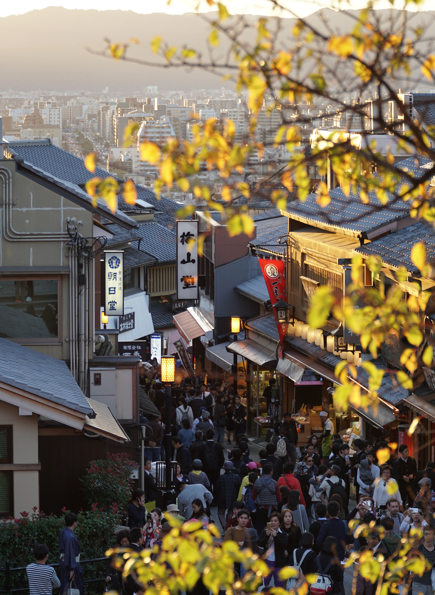 Sony a6300 + Sony E PZ 18-105mm F4 G OSS sample photo. Kyoto-05 photography