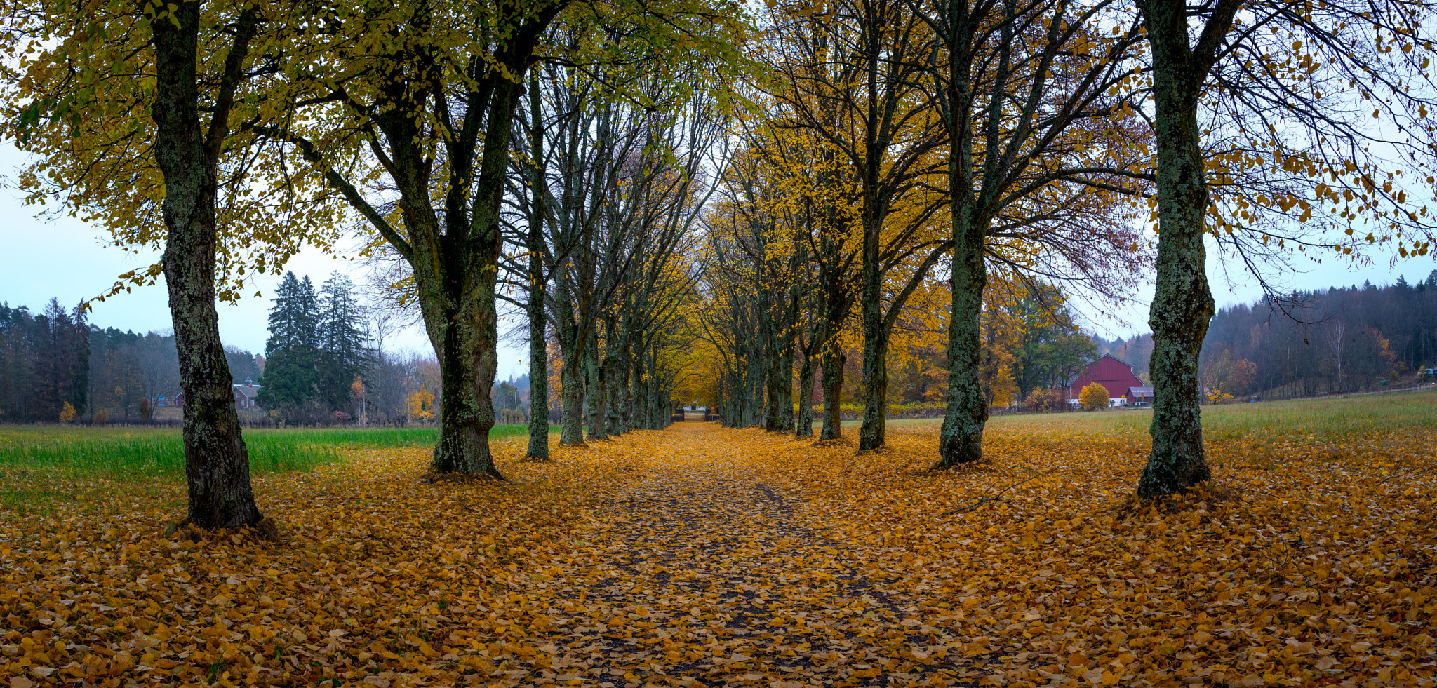 Sony a7R II + Canon EF 24mm F1.4L II USM sample photo. Pano photography