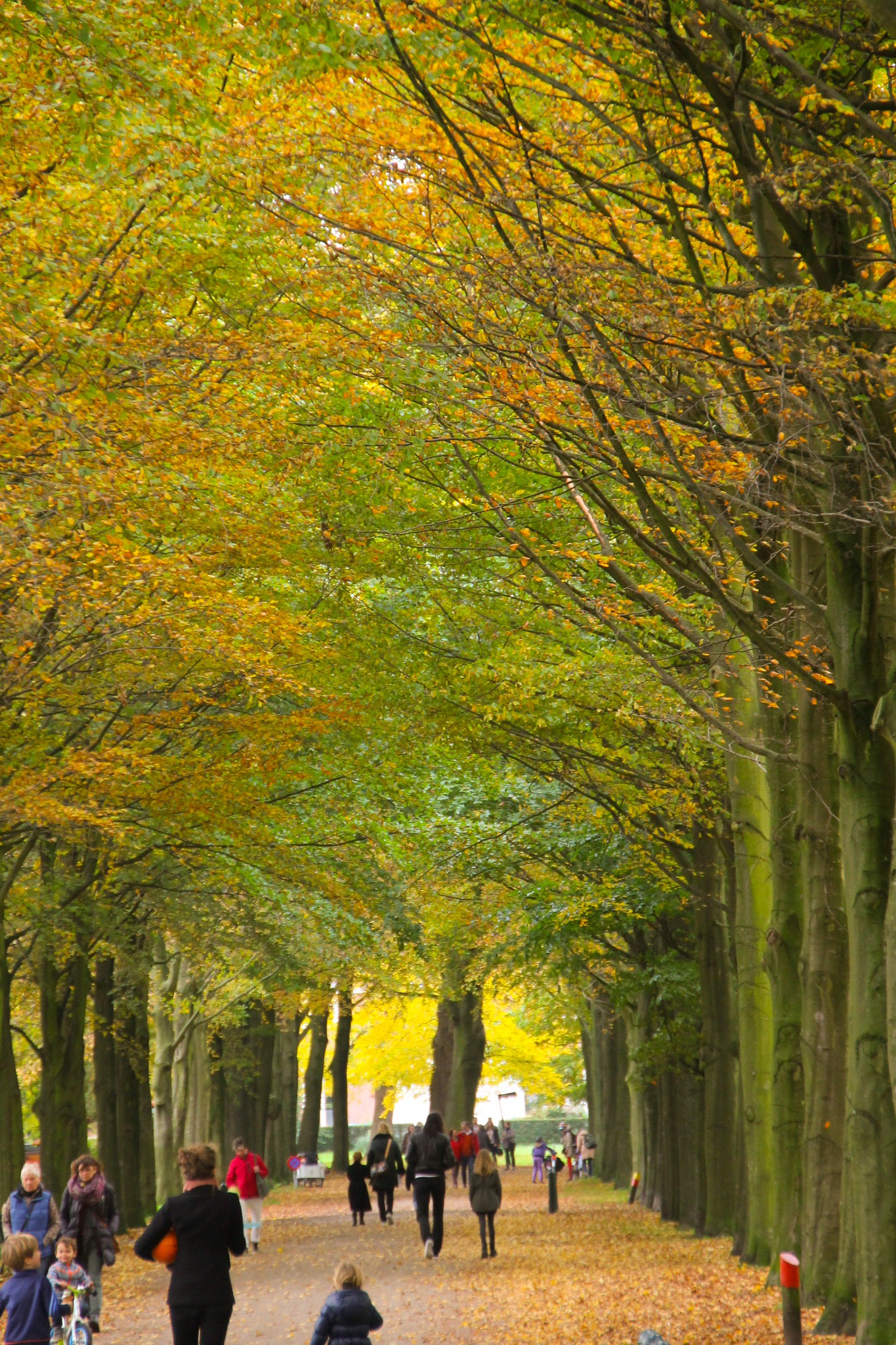 Canon 18-250mm sample photo