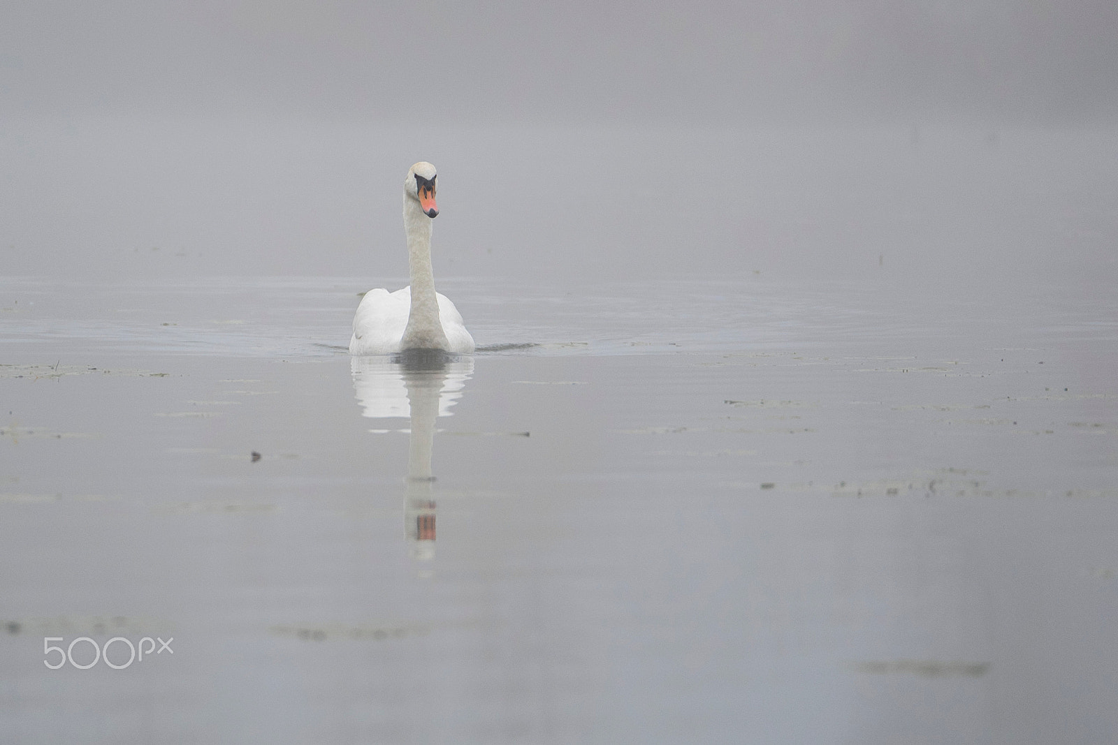 Panasonic Lumix G X Vario 35-100mm F2.8 OIS sample photo. Through the fog photography