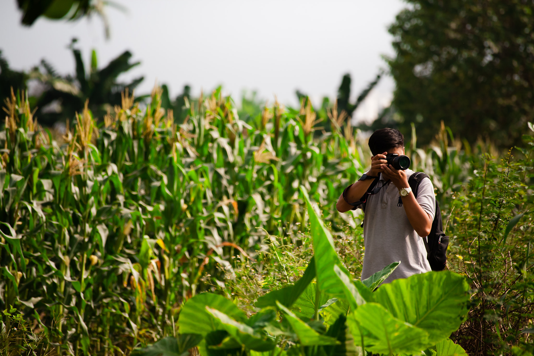 Canon EF 100-300mm f/5.6L sample photo. Img photography