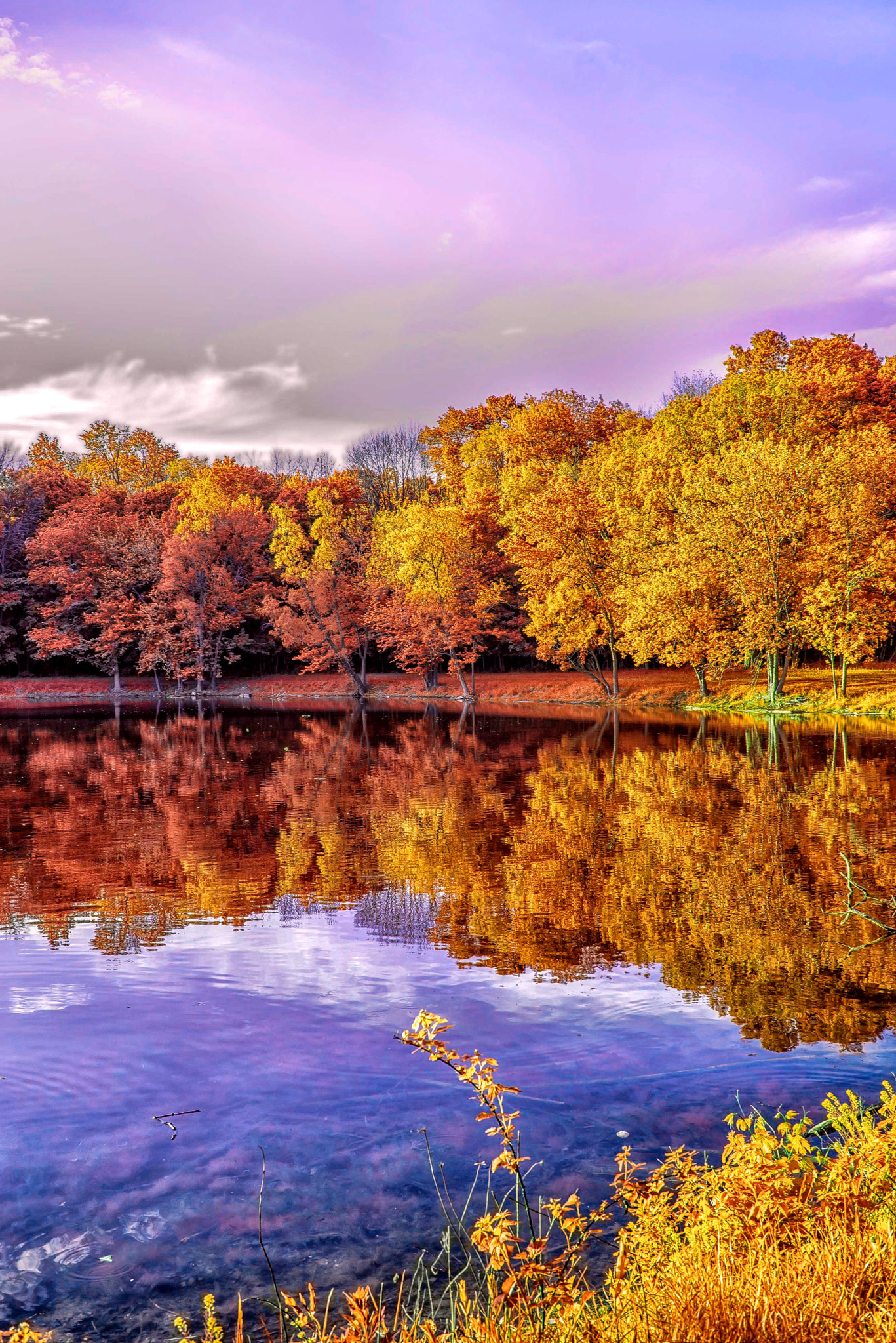 Nikon D600 + AF Zoom-Nikkor 35-70mm f/2.8D sample photo. Colors of the fall. photography